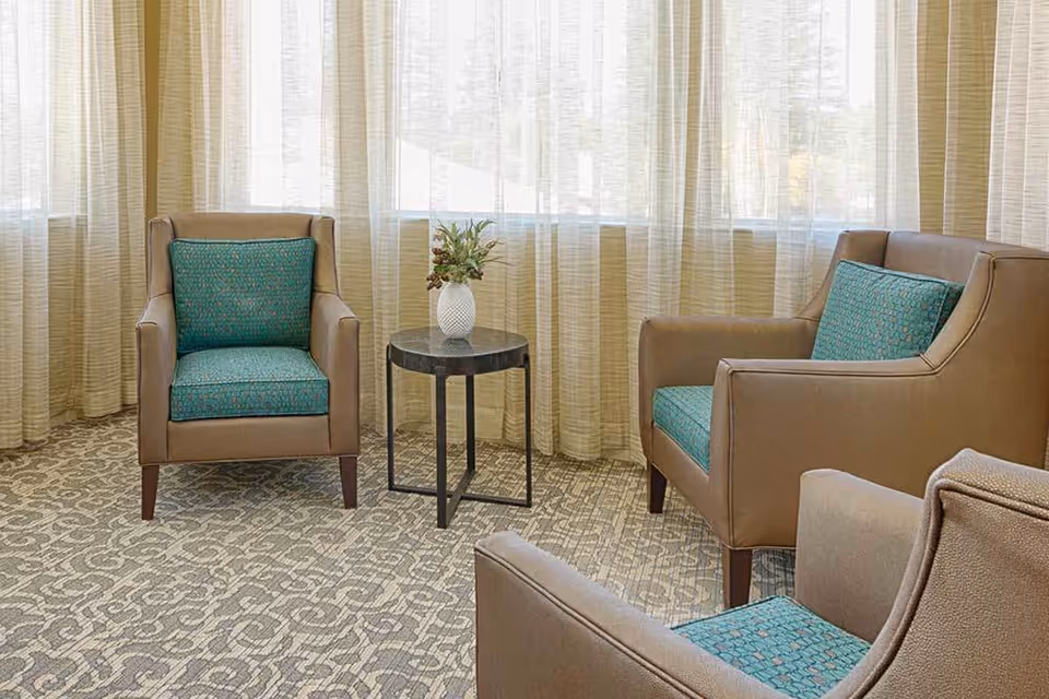 A cozy seating area with three brown armchairs featuring teal cushions arranged around a small round black table with a white vase holding a floral arrangement. The background has large windows covered with sheer beige curtains, and the floor is carpeted with a patterned design.