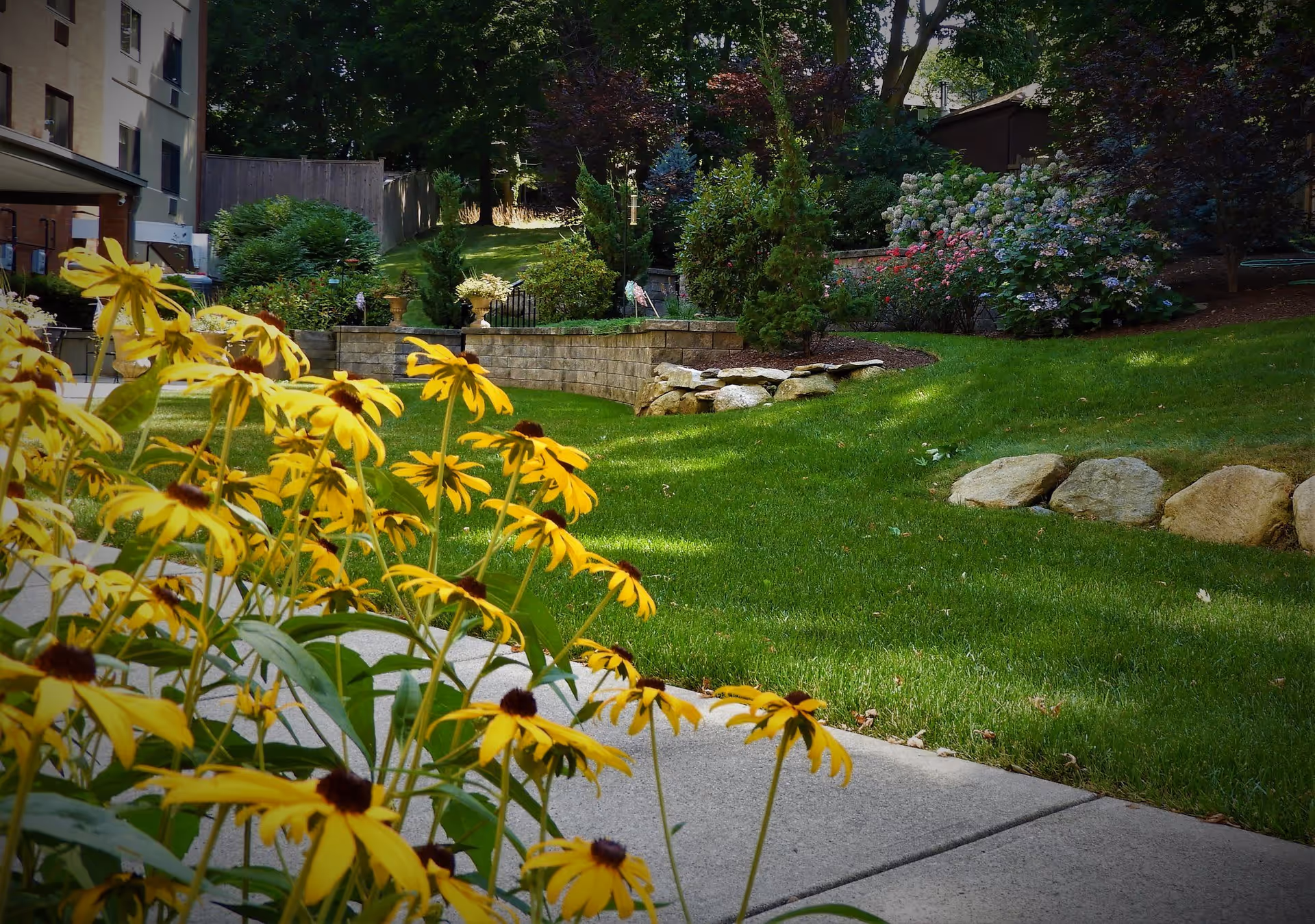 A landscaped outdoor garden area with bright yellow flowers in the foreground, a green lawn, stone edging, various shrubs, and trees. Part of a building is visible on the left side.