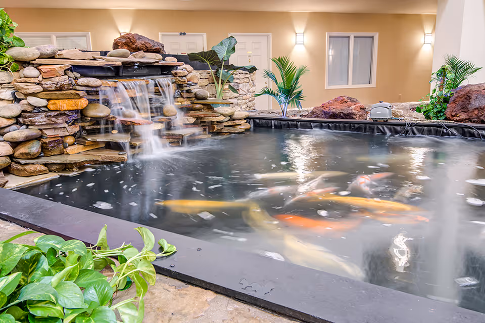 Indoor koi pond with a small waterfall feature made of stacked stones, surrounded by plants and rocks, inside a room with beige walls and white doors and windows.