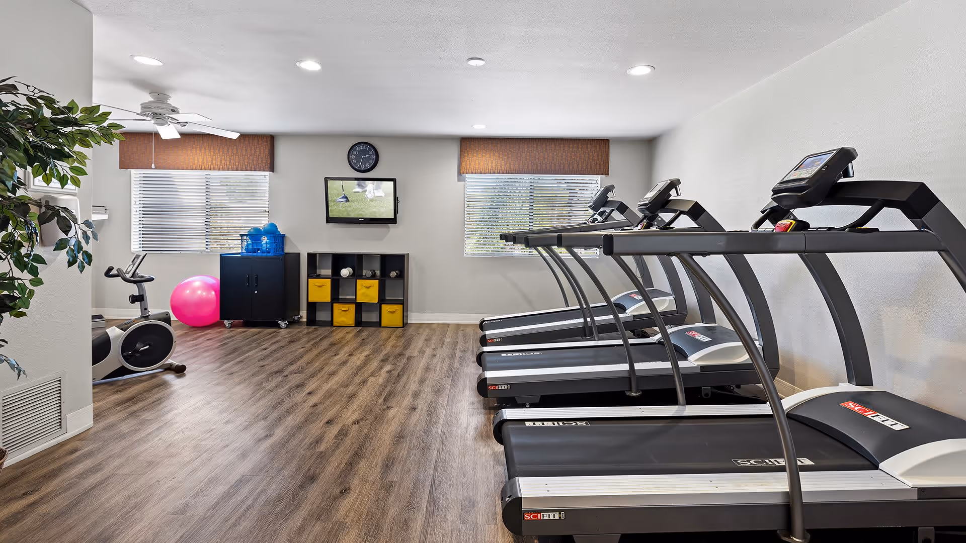 A fitness room with four treadmills lined up on the right side, an exercise bike and a pink exercise ball on the left side near two windows with blinds and brown valances. There is a black storage unit with yellow bins and a TV mounted on the wall above it, showing a golf game. The room has wood flooring, white walls, recessed ceiling lights, and a ceiling fan.