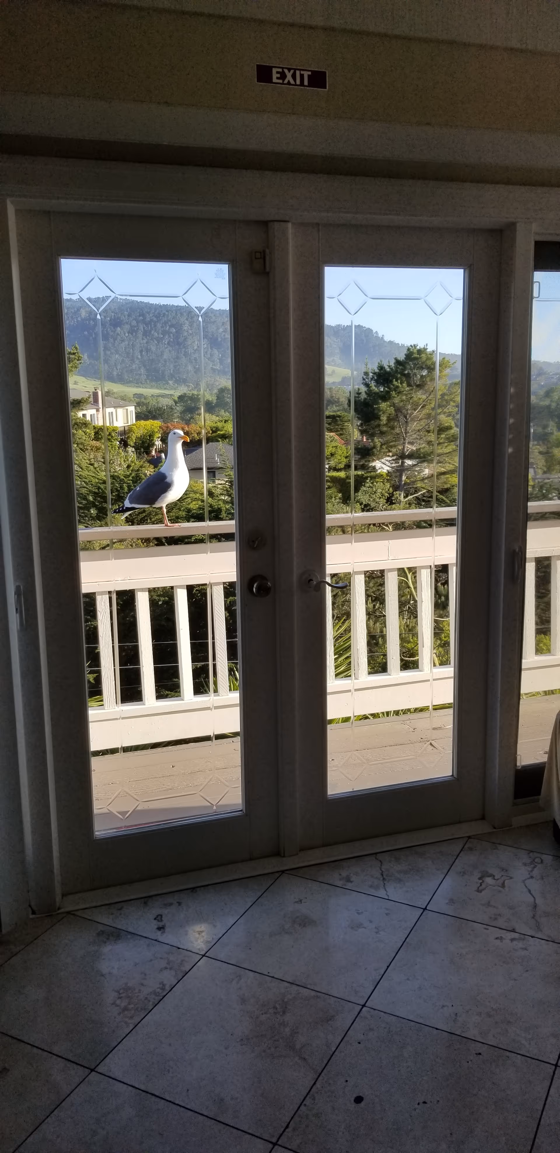 Glass double doors open to a balcony where a seagull perches on the railing with hills visible beyond.