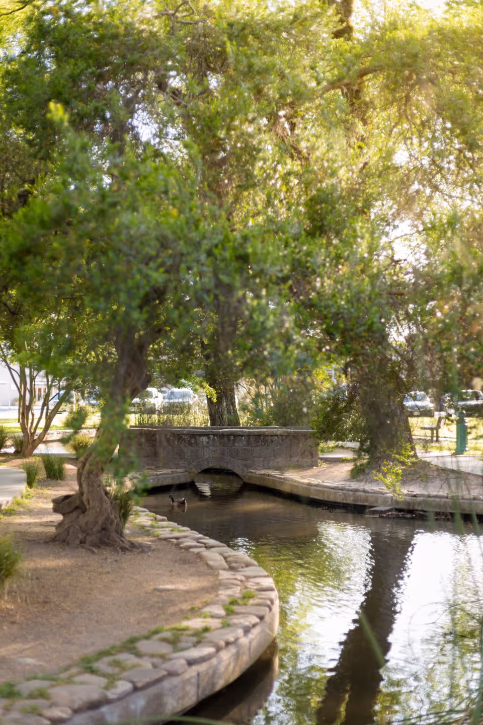 A peaceful outdoor scene featuring a small stone-lined waterway with a duck swimming in it, surrounded by lush green trees and a stone bridge in the background. Sunlight filters through the leaves, creating a serene atmosphere.