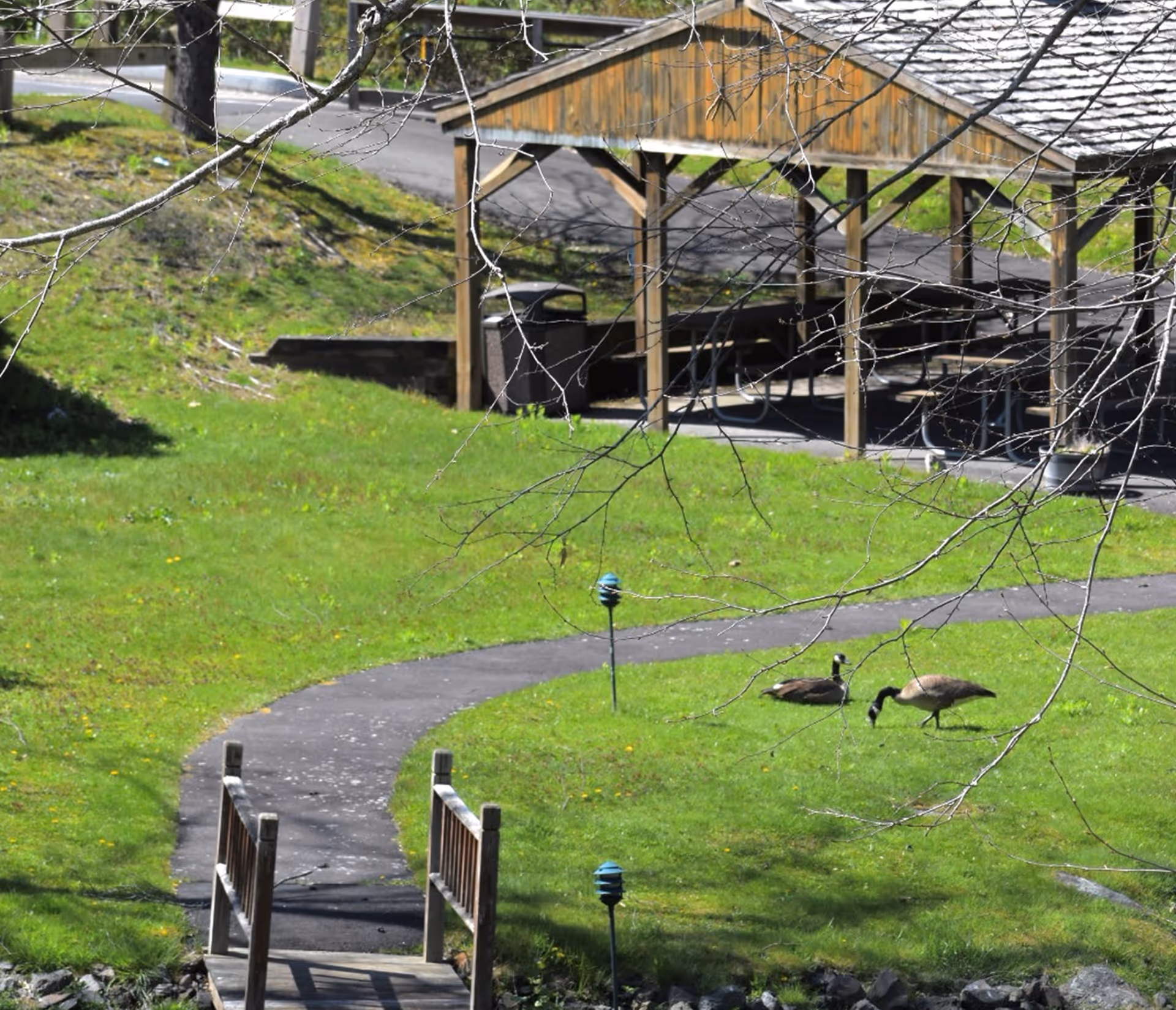 A small wooden footbridge over a narrow stream leads to a paved walking path that curves through a grassy area. Two geese are grazing on the grass near the path. In the background, there is a wooden pavilion with picnic tables underneath. Bare tree branches partially frame the scene.