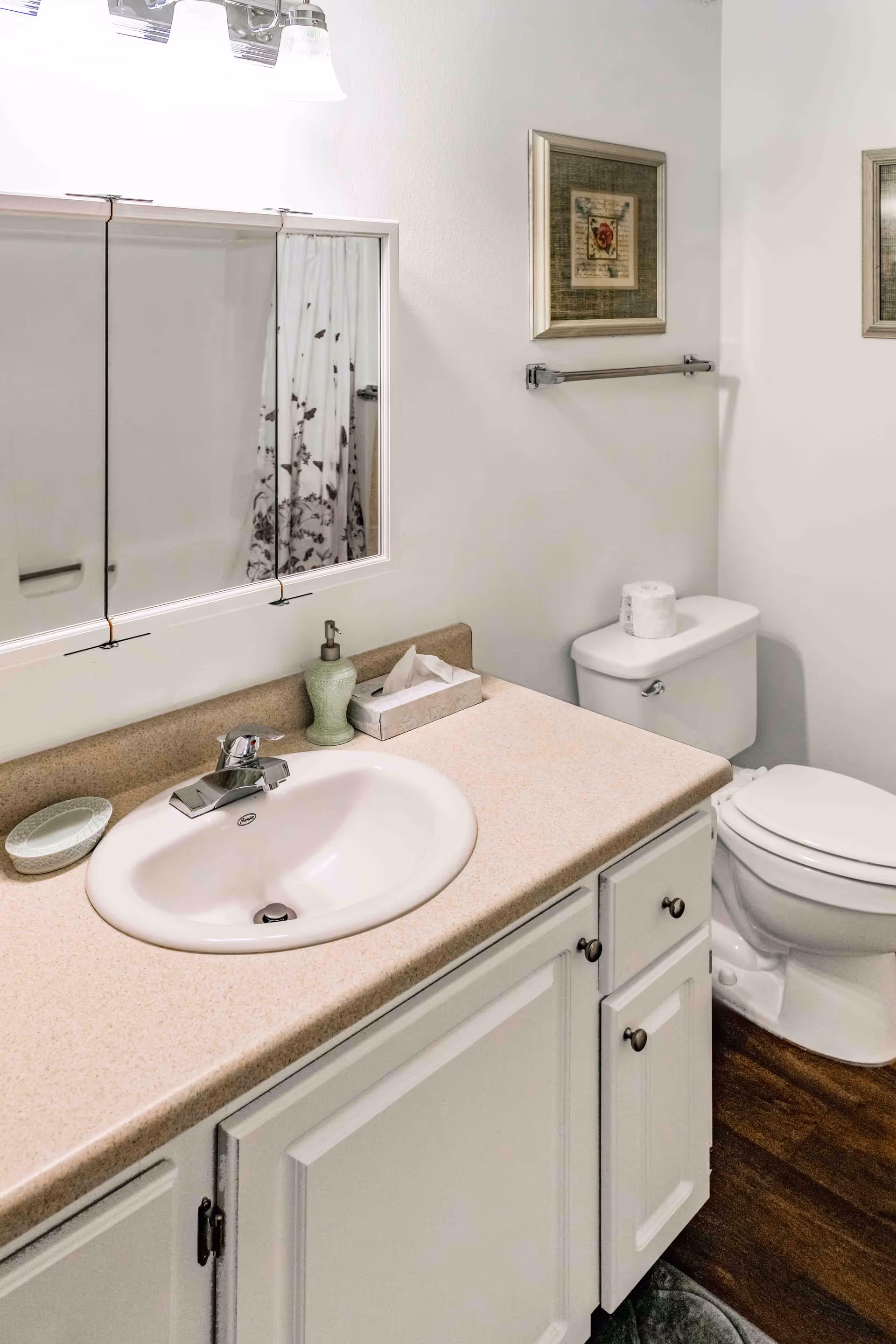 A clean bathroom with a white sink set in a beige countertop, a soap dispenser, tissue box, and a small dish on the counter. Above the sink is a mirrored medicine cabinet with three sections. To the right is a toilet with a roll of toilet paper on top. The walls are white with two framed pictures and a towel rack. The floor has dark wood-style flooring.