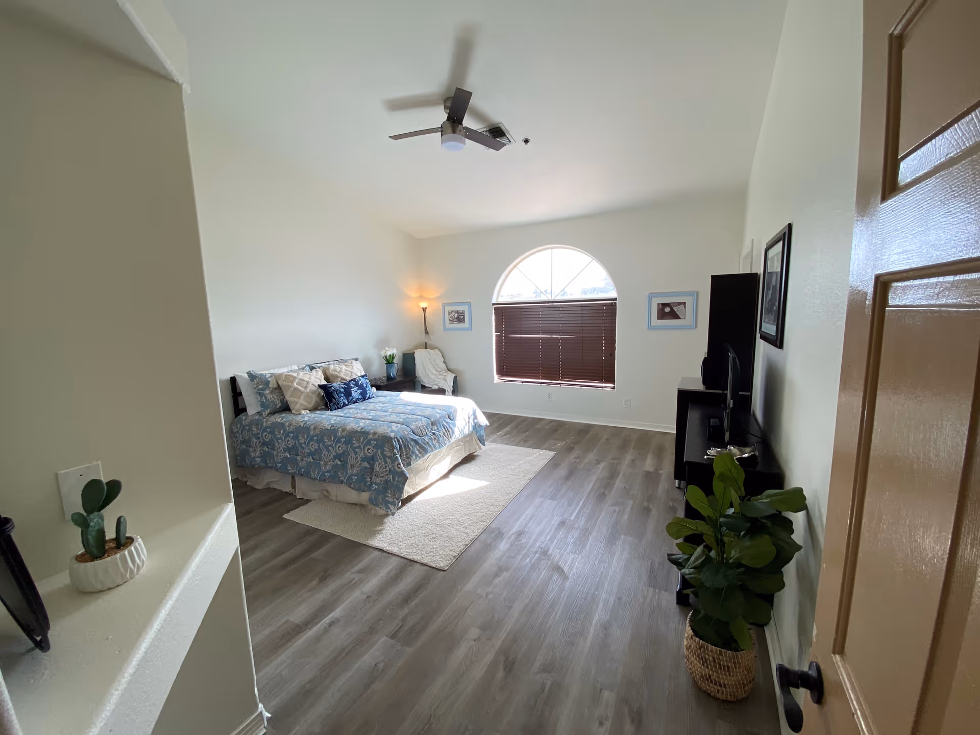 Bright, spacious bedroom with a bed, arched window with blinds, TV stand, and potted plant on wood-look flooring.
