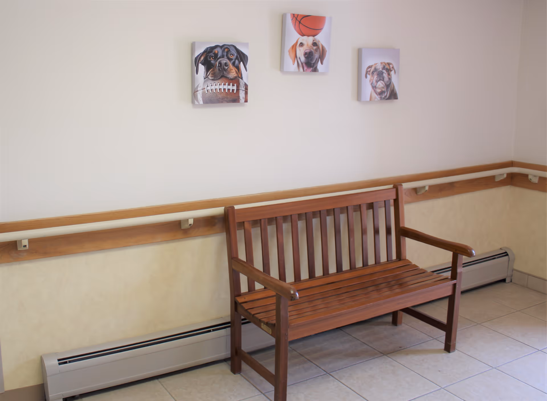 A wooden bench placed against a beige wall with a wooden handrail. Above the bench are three small square paintings of dogs, each holding or interacting with a sports ball. The floor is tiled and there is a baseboard heater along the wall.
