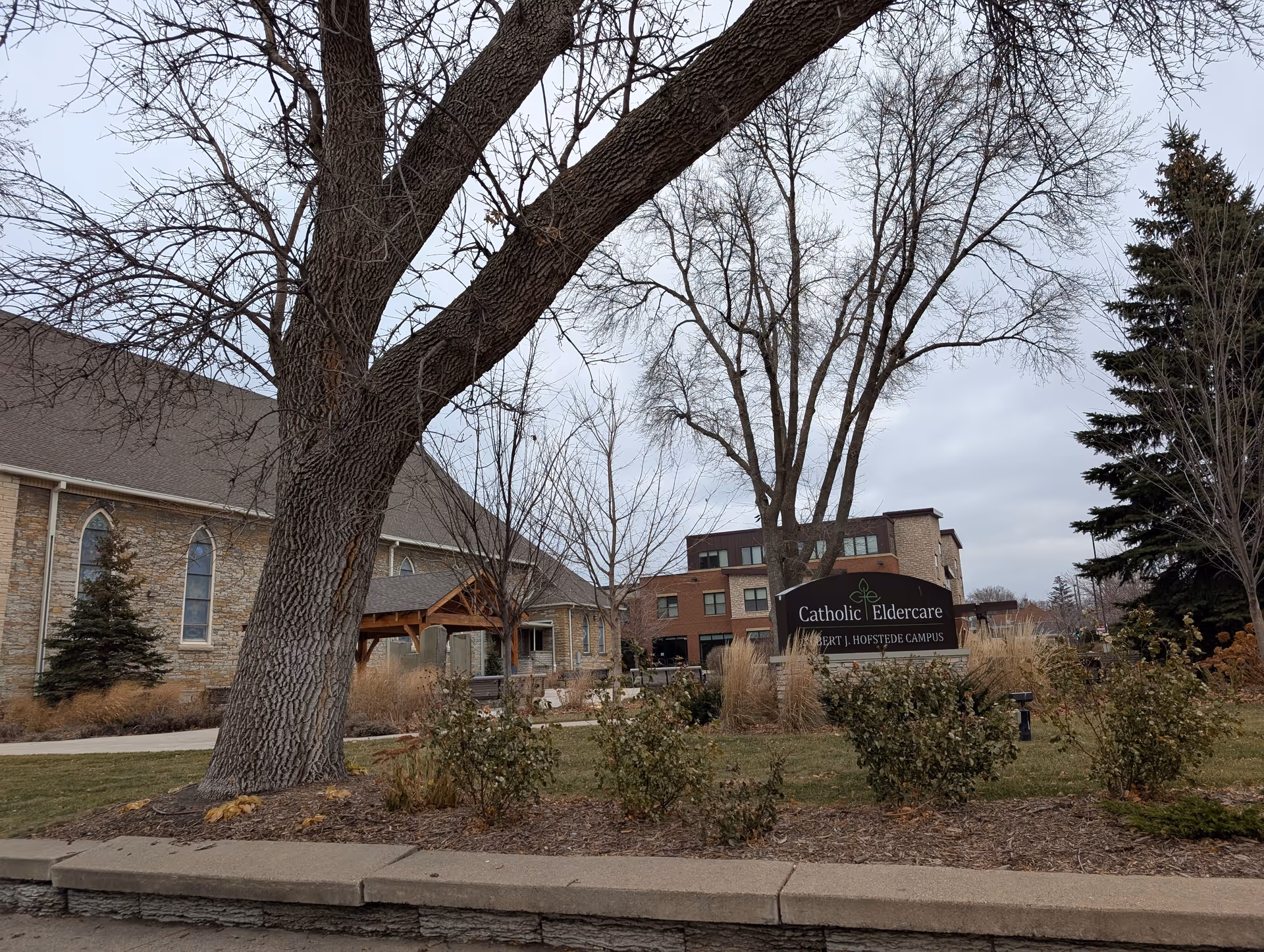 Exterior view of Catholic Eldercare facility with a large tree in the foreground, a stone building with arched windows on the left, and a multi-story brick building in the background. A sign reading 'Catholic Eldercare Robert J. Hofstede Campus' is visible near the center right, surrounded by landscaping and bushes.