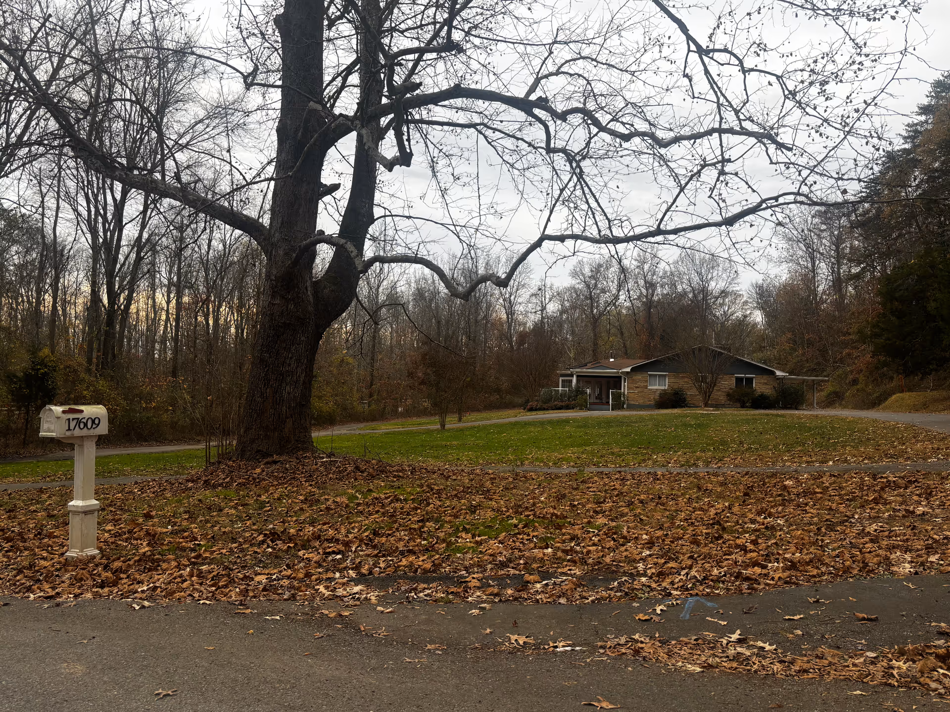 A single-story house with a stone facade and a dark roof is set back from the road, surrounded by a large yard with green grass and fallen autumn leaves. A large leafless tree stands prominently in the foreground near a white mailbox with the number 17609. The background features a dense forest of leafless trees under a cloudy sky.