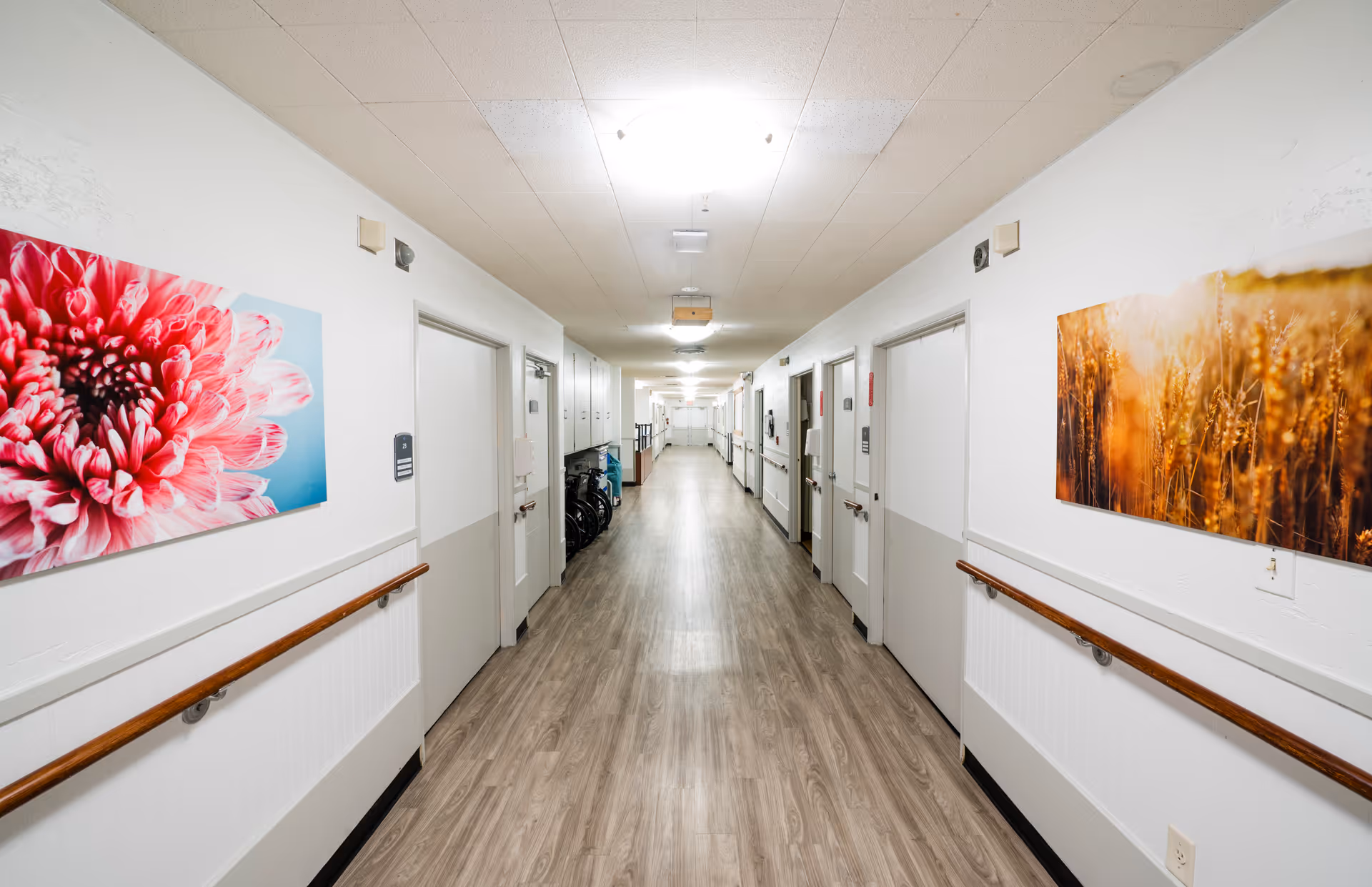 A long, well-lit hallway in a senior living facility with light-colored walls and wood-patterned flooring. There are handrails on both sides of the hallway and several closed doors along the walls. Colorful artwork featuring a pink flower and a field of wheat is hung on the walls.