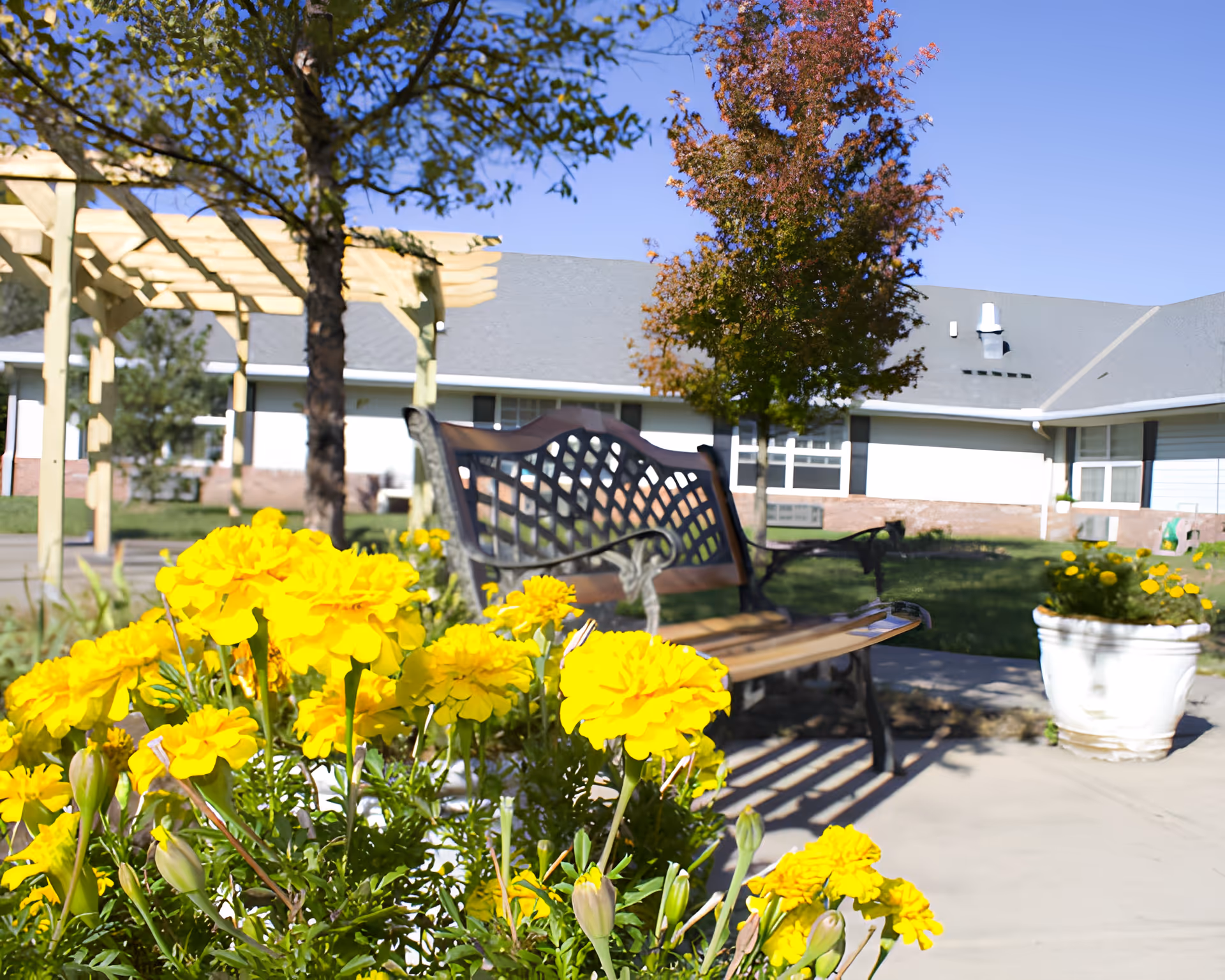 Outdoor garden area at Homestead Assisted Living of Auburn featuring bright yellow flowers in the foreground, a wooden bench with decorative metal backrest, a pergola, trees with autumn foliage, and a single-story building with white walls and a gray roof in the background under a clear blue sky.