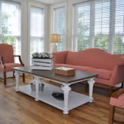A bright living room with large windows covered by white blinds, featuring a coral-colored sofa and matching chairs, a white coffee table with decorative items including a white planter with flowers and a wooden box, and a table lamp on a side table.