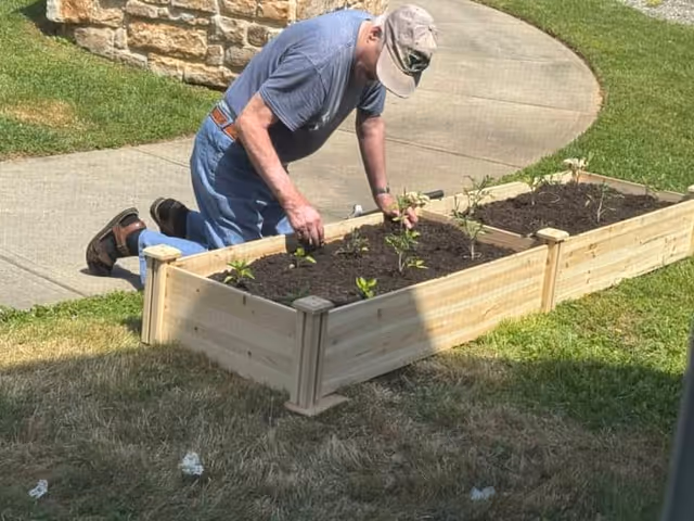 An elderly man wearing a cap, blue shirt, and jeans is kneeling on the grass while tending to small plants in a wooden raised garden bed outdoors near a stone wall and a curved concrete pathway.