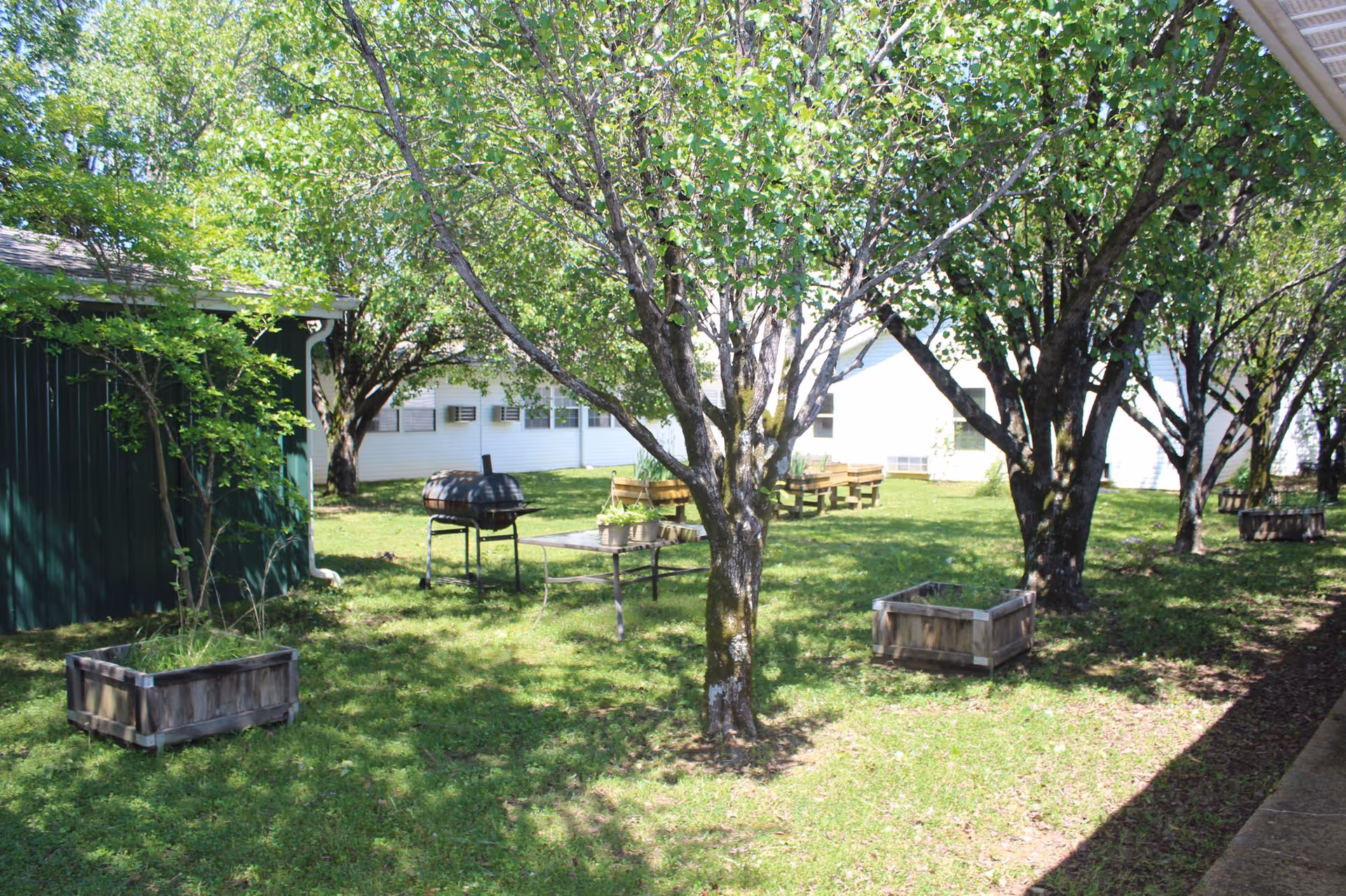 Outdoor garden area with several trees providing shade, wooden planter boxes on the grass, a metal grill, and picnic tables in the background near white buildings.