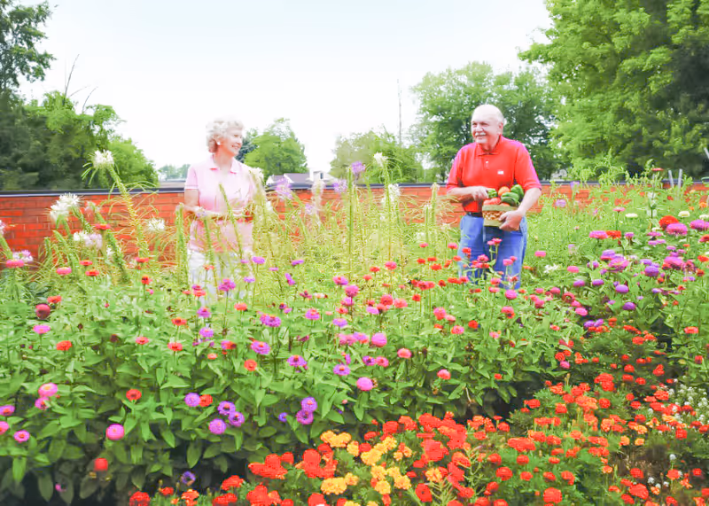 An elderly woman and man standing in a vibrant garden filled with colorful flowers. The woman is wearing a light pink shirt and white pants, smiling and looking at the man. The man is wearing a red shirt and blue jeans, holding a basket of vegetables. There are green trees and a brick wall in the background.