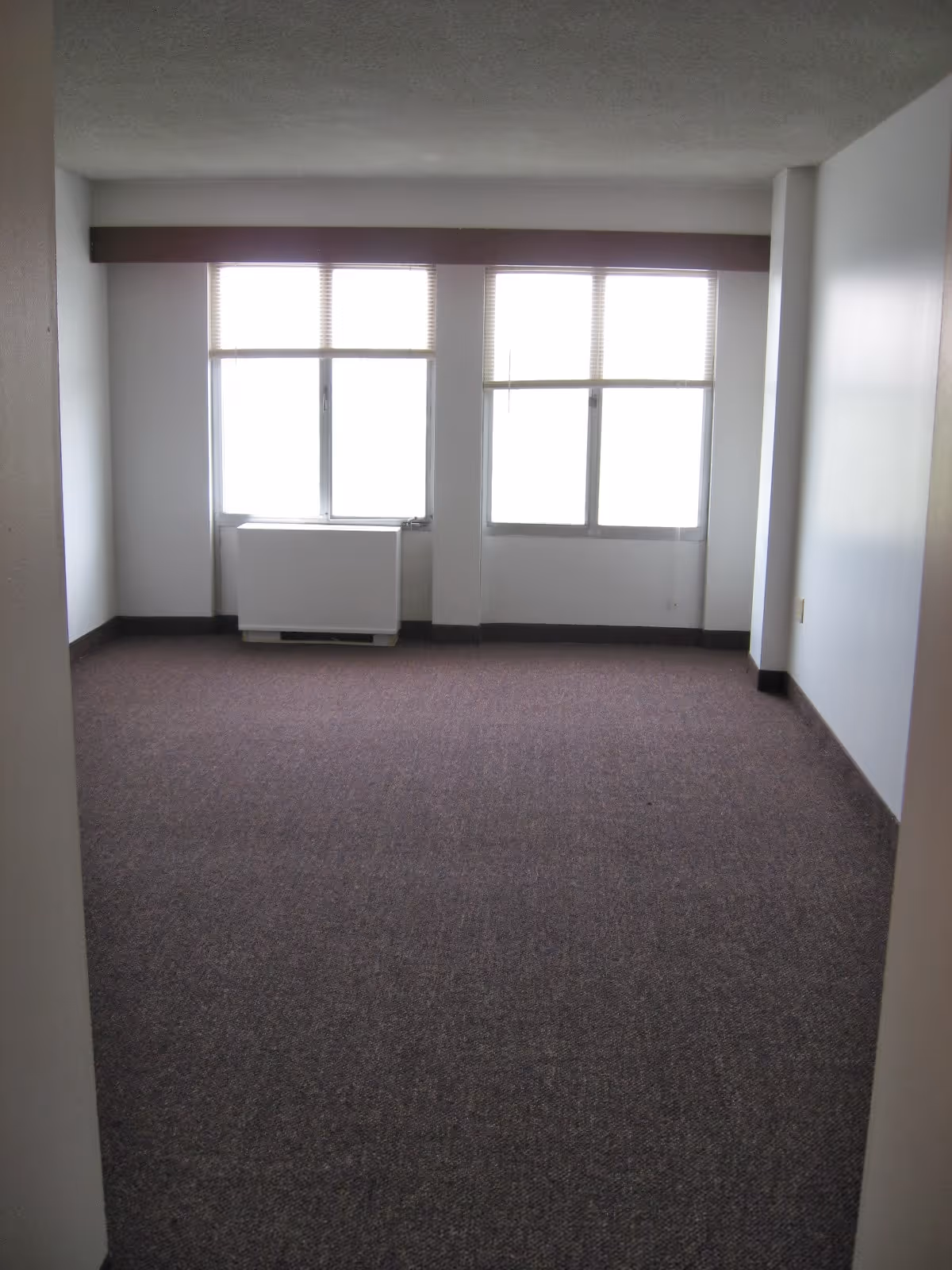 Empty room with carpeted floor, white walls, and two large windows with blinds partially open, letting in bright light. There is a heating unit below the windows.