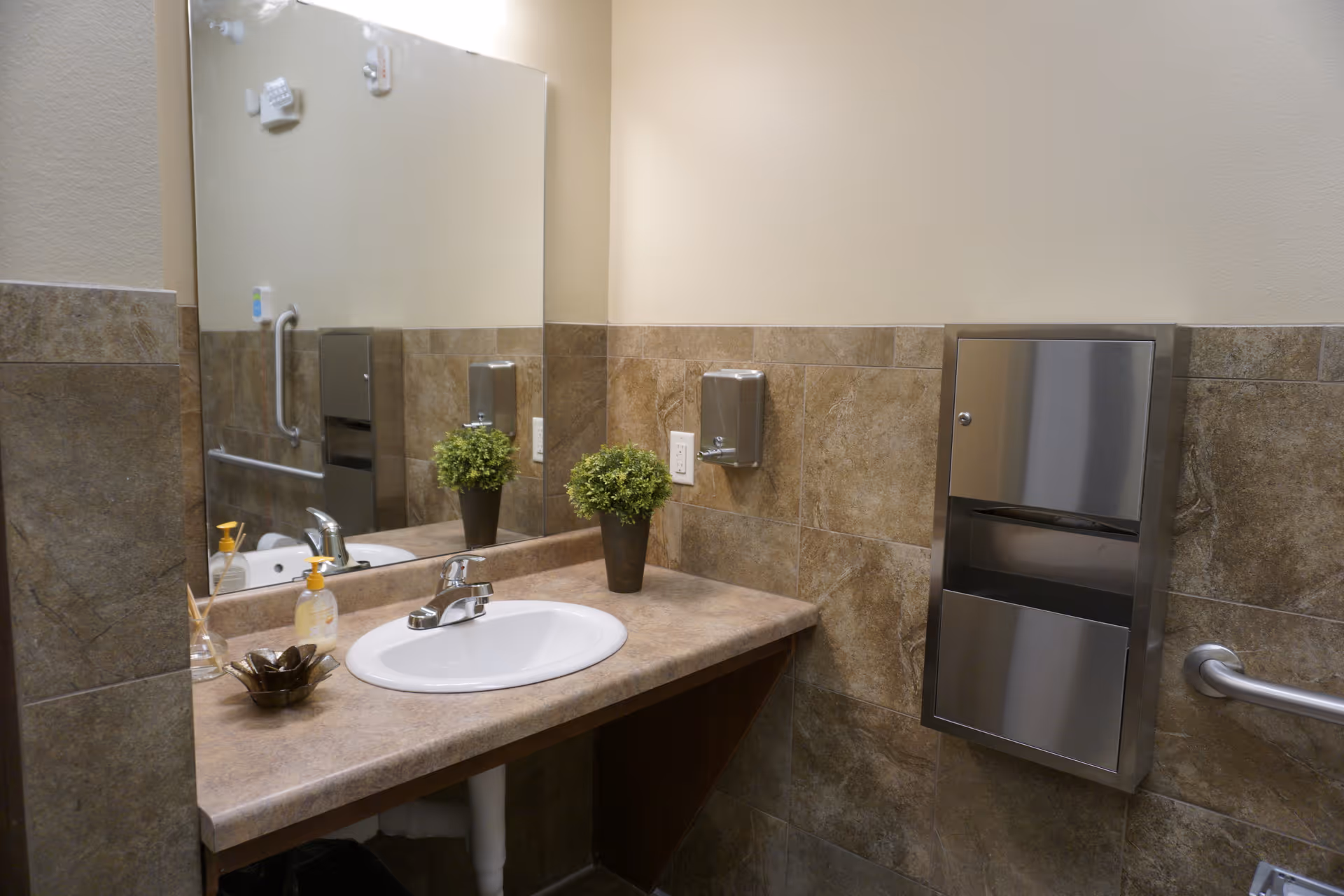 Accessible public bathroom sink area with a large mirror, countertop basin, soap dispenser, stainless steel paper-towel/disposal units, and two small potted plants.