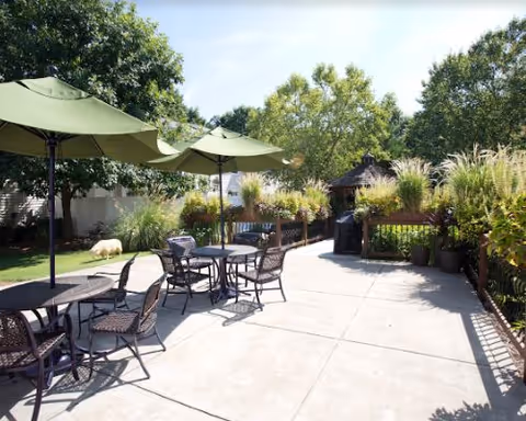 Outdoor patio area with several round tables and chairs under green umbrellas, surrounded by plants and trees, with a small gazebo and a barbecue grill in the background.