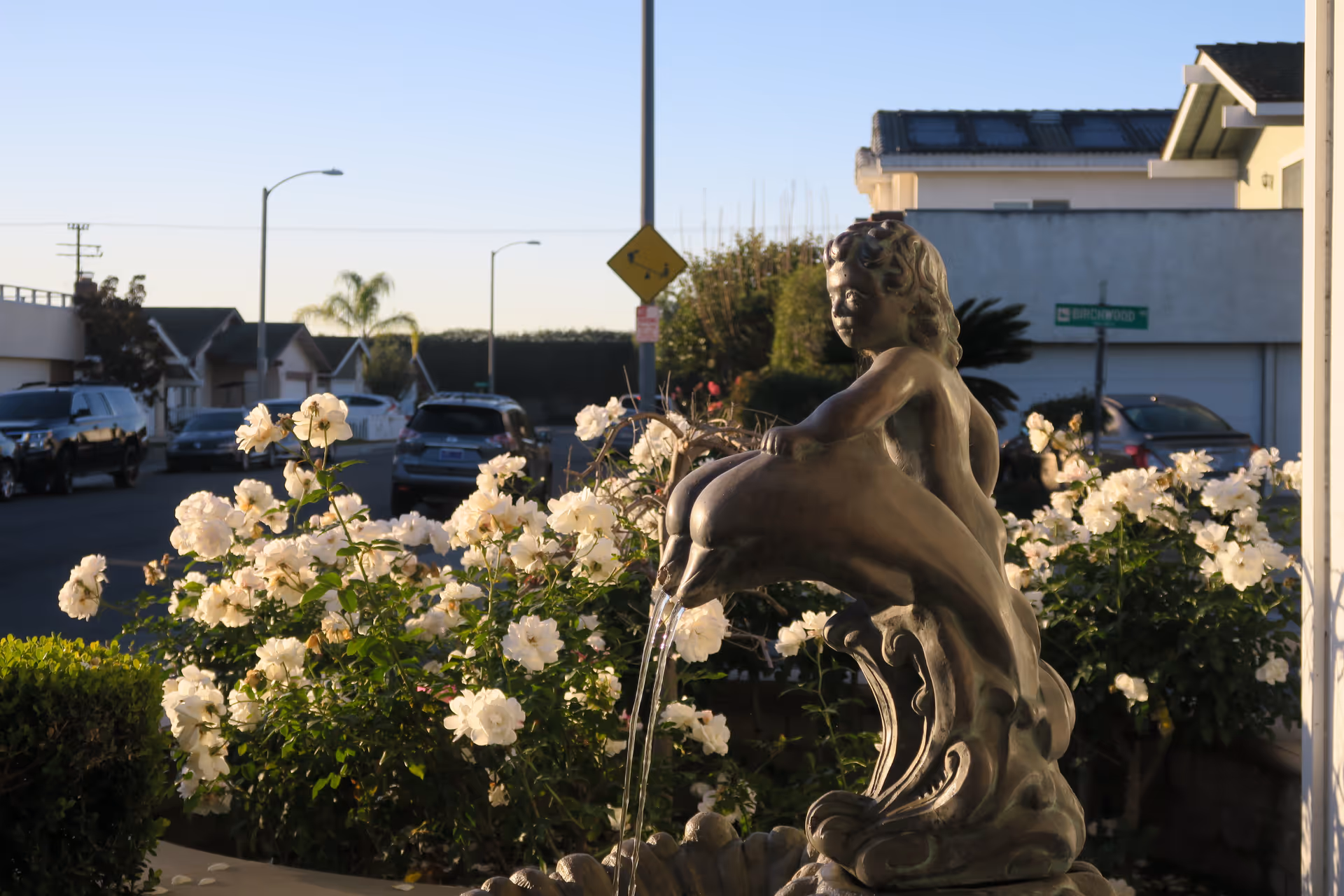 A decorative outdoor fountain featuring a statue of a child riding a dolphin with water flowing from the dolphin's mouth, surrounded by blooming white flowers and bushes, with a residential street and parked cars in the background during daylight.