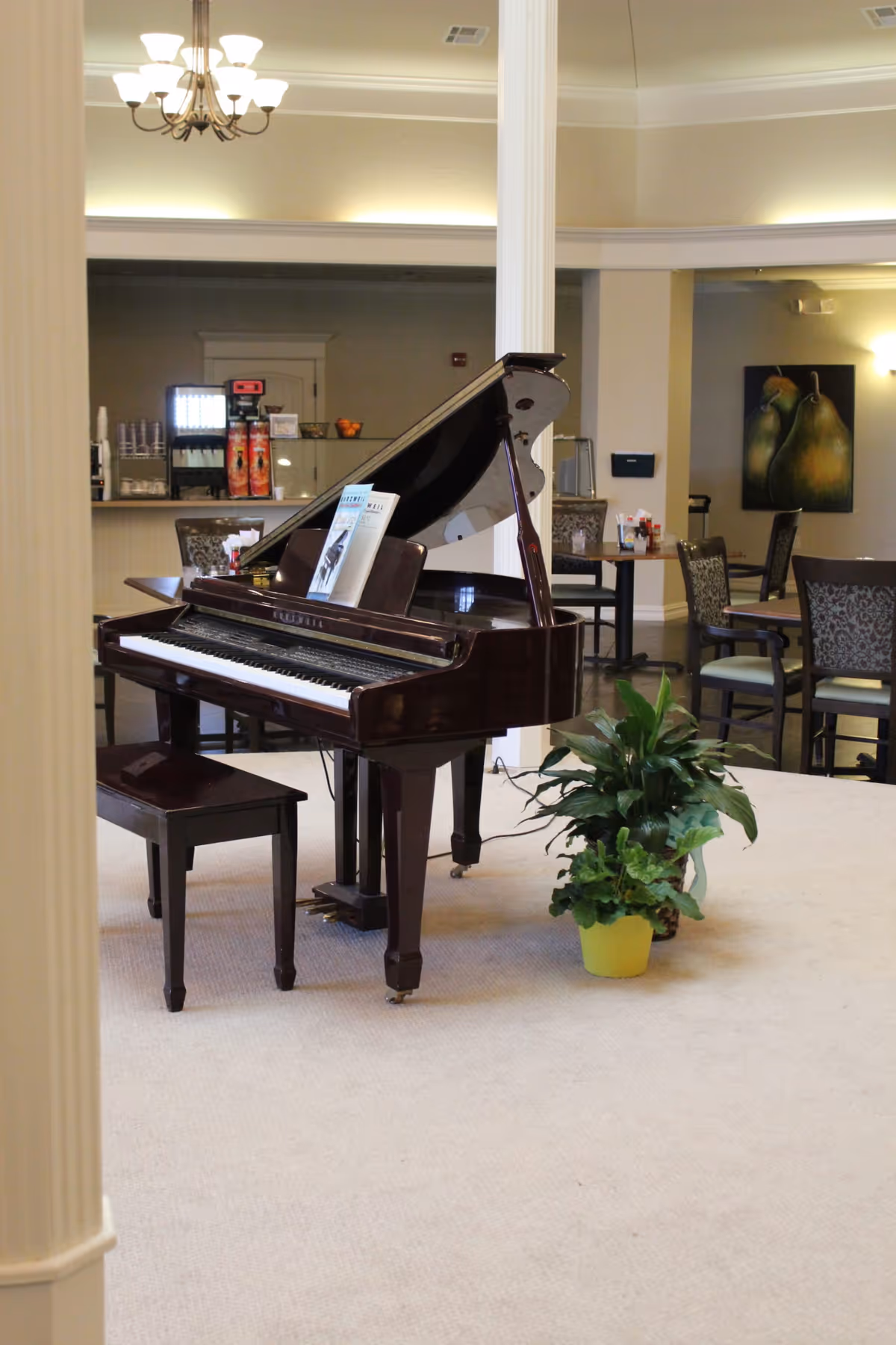 Interior of a senior living facility common area featuring a grand piano with an open lid and a piano bench. There are potted plants next to the piano, and several tables and chairs are visible in the background. The room has beige walls, carpeted flooring, and a chandelier hanging from the ceiling.