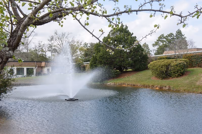 A peaceful outdoor scene featuring a pond with a water fountain spraying water upwards. Surrounding the pond are green trees, bushes, and a grassy area. A building is partially visible in the background behind the trees.