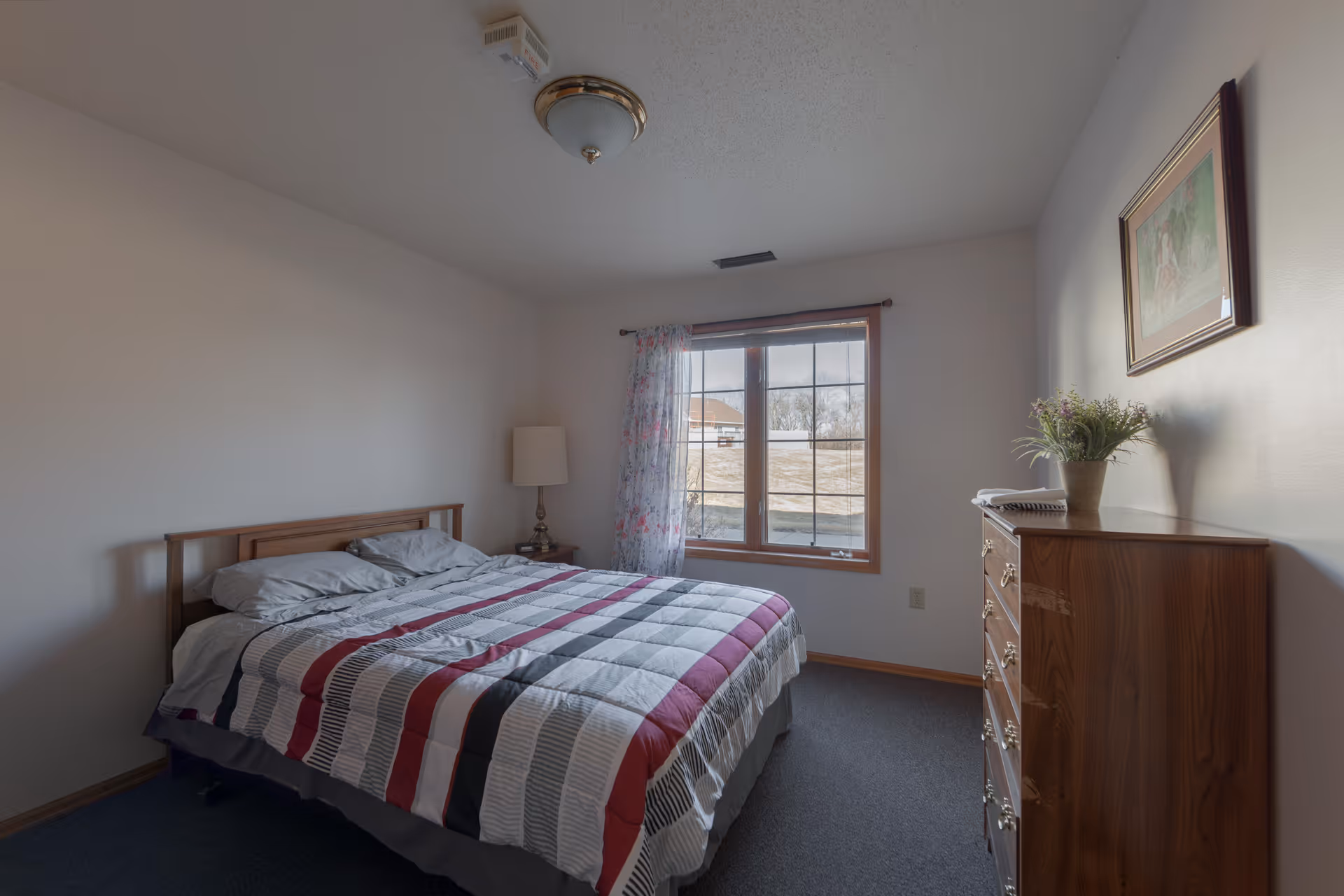 A simple bedroom with a double bed covered in a striped comforter in shades of gray, white, red, and black. There is a wooden nightstand with a lamp next to the bed, a window with floral curtains letting in natural light, and a wooden dresser with a potted plant and a framed picture hanging above it on the wall.