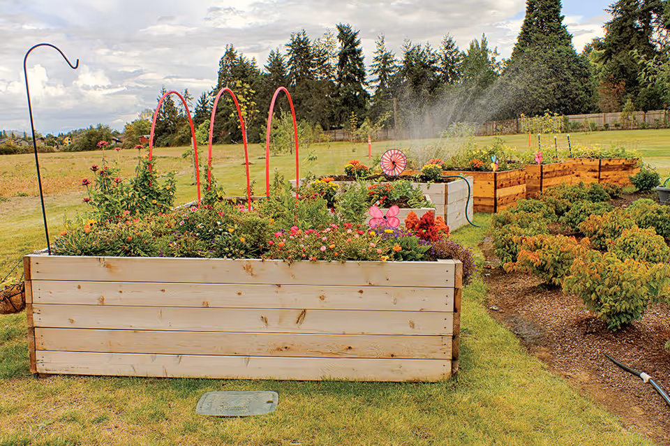 Raised garden beds filled with various flowering plants and greenery in an outdoor garden area with sprinklers watering the plants. Trees and a cloudy sky are visible in the background.