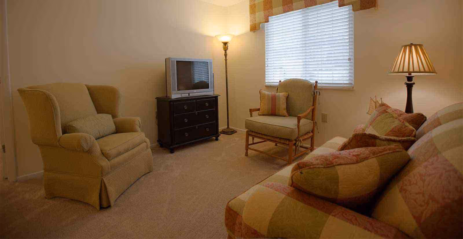 A cozy living room with a patterned sofa adorned with multiple cushions, a cushioned armchair, a wooden chair with a cushion, a small black dresser with a TV on top, a floor lamp, and a table lamp. The room has beige walls, carpeted floor, and a window with white blinds and a checkered valance.