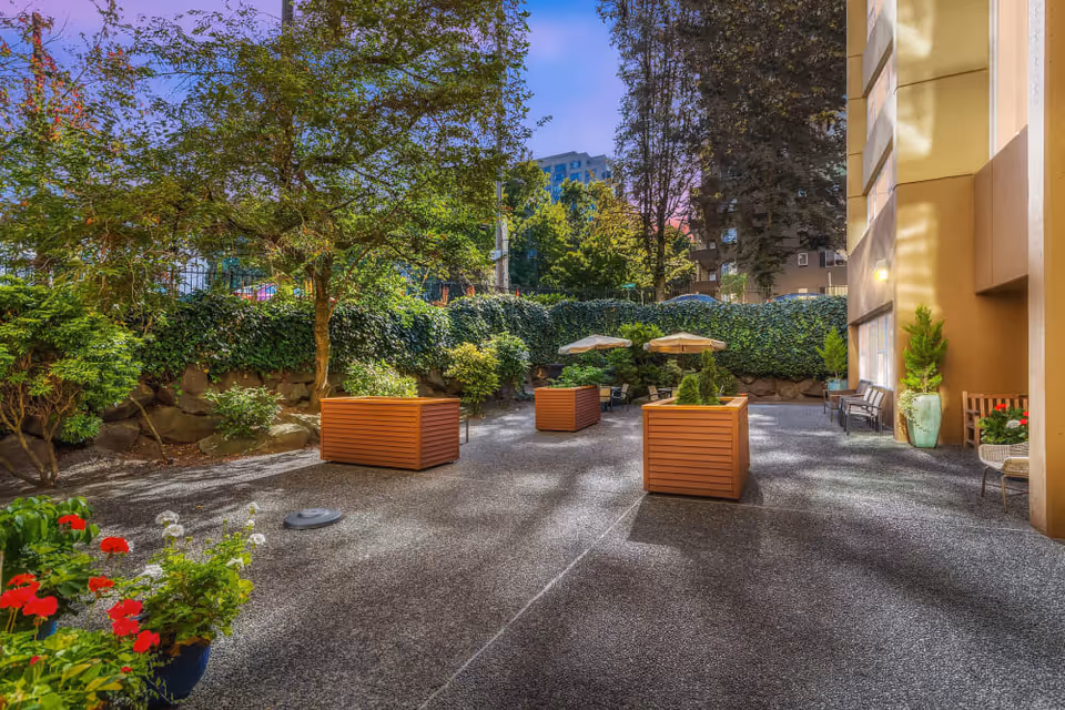 Outdoor patio area at Truewood by Merrill, First Hill with large planters, trees, and shrubs surrounding the space. There are umbrellas and seating areas in the background, with a building wall on the right side and a clear blue sky above.