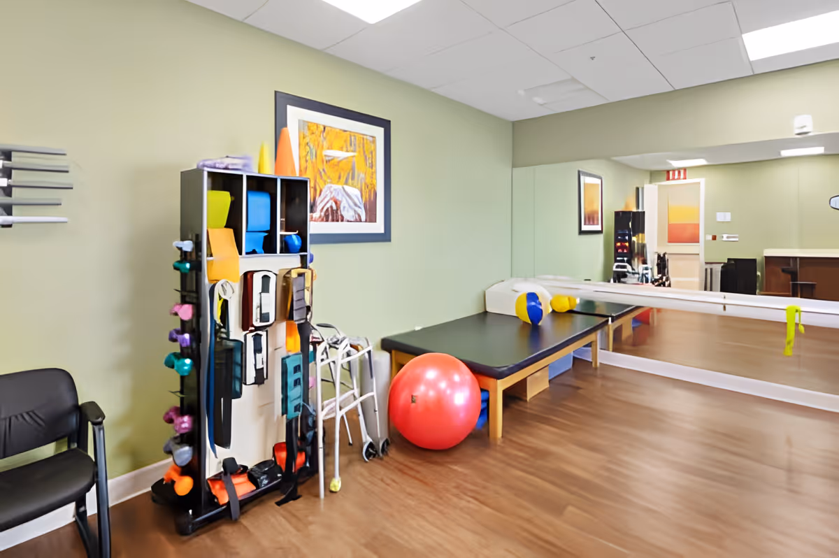 A therapy or exercise room with a black padded table, a large red exercise ball, a walker, and a rack holding various exercise equipment such as weights and resistance bands. The room has light green walls, a large mirror on one side, and a framed artwork on the wall.