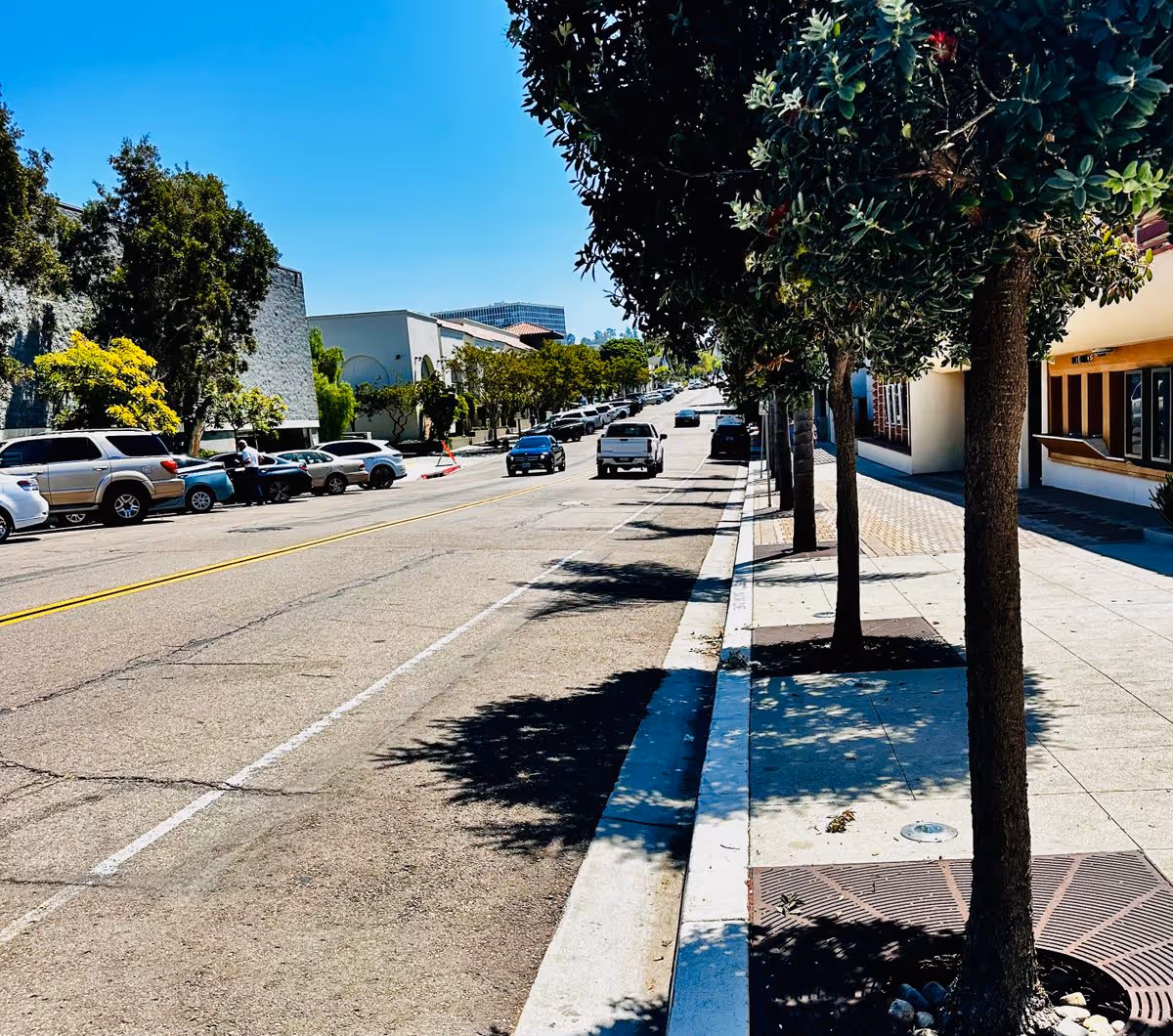 Sunlit city street with parked cars, trees lining the sidewalk and buildings along the right side.