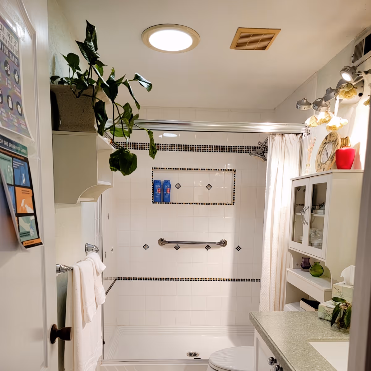Bright, accessible bathroom with a tiled walk-in shower and grab bar, white cabinets, a countertop sink, and a hanging potted plant.