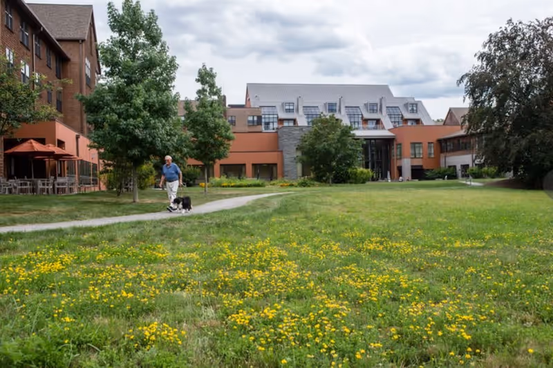 A senior man walking a dog on a paved path through a grassy area with yellow wildflowers in front of a large multi-story building with trees and outdoor seating with umbrellas.
