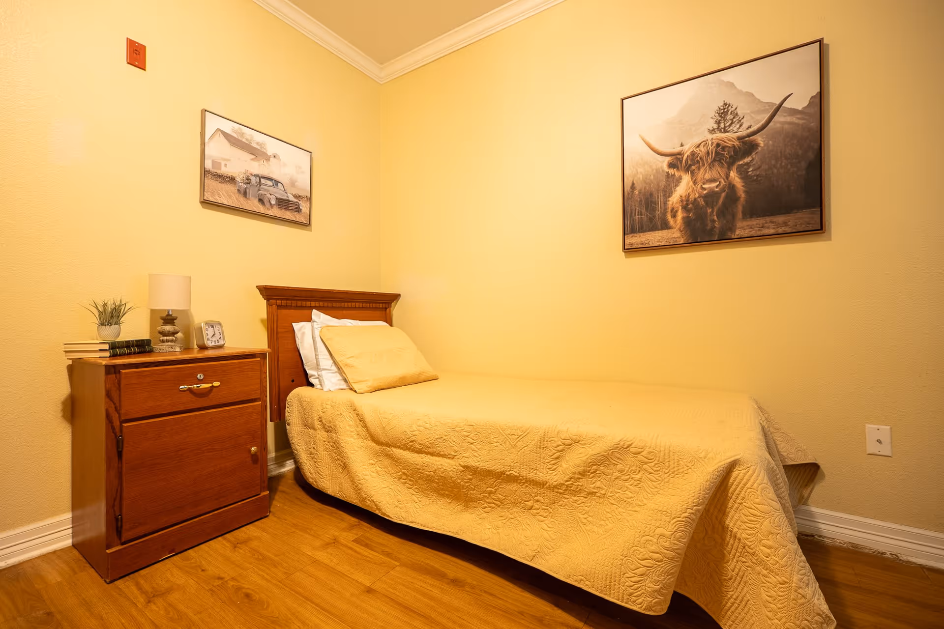 A small bedroom with a single bed covered in a yellow quilt and matching pillow. Next to the bed is a wooden nightstand with a lamp, a small plant, a clock, and some books. The walls are painted yellow and decorated with two framed pictures, one of a vintage truck and the other of a highland cow with mountains in the background. The floor is wooden.