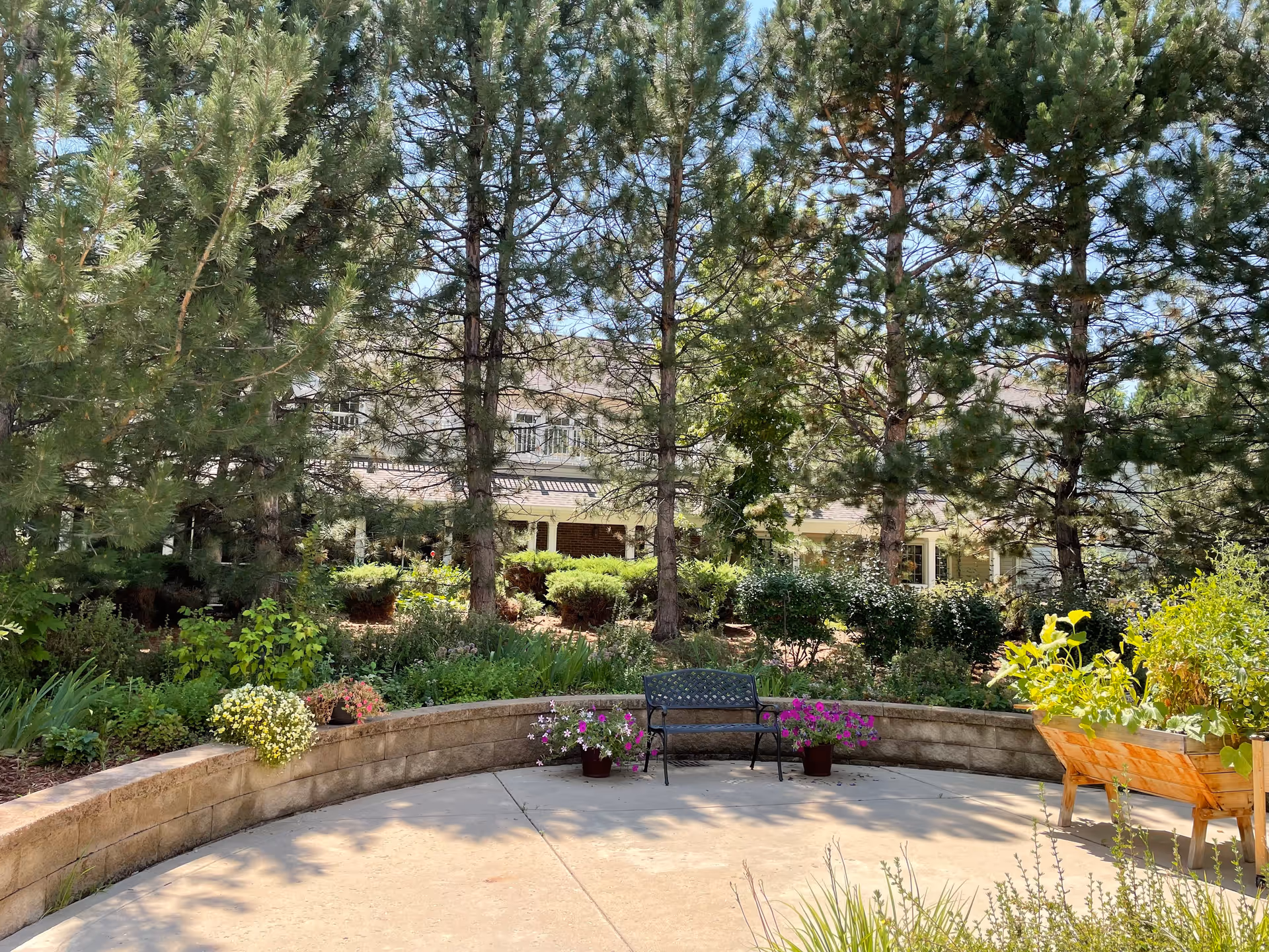 Outdoor garden area with tall pine trees, a curved stone retaining wall, a black metal bench, potted flowers, and a wooden planter box filled with greenery. A building is partially visible in the background behind the trees and bushes.