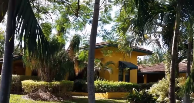 Yellow single-story building partially obscured by palm trees and shrubs in a landscaped yard.