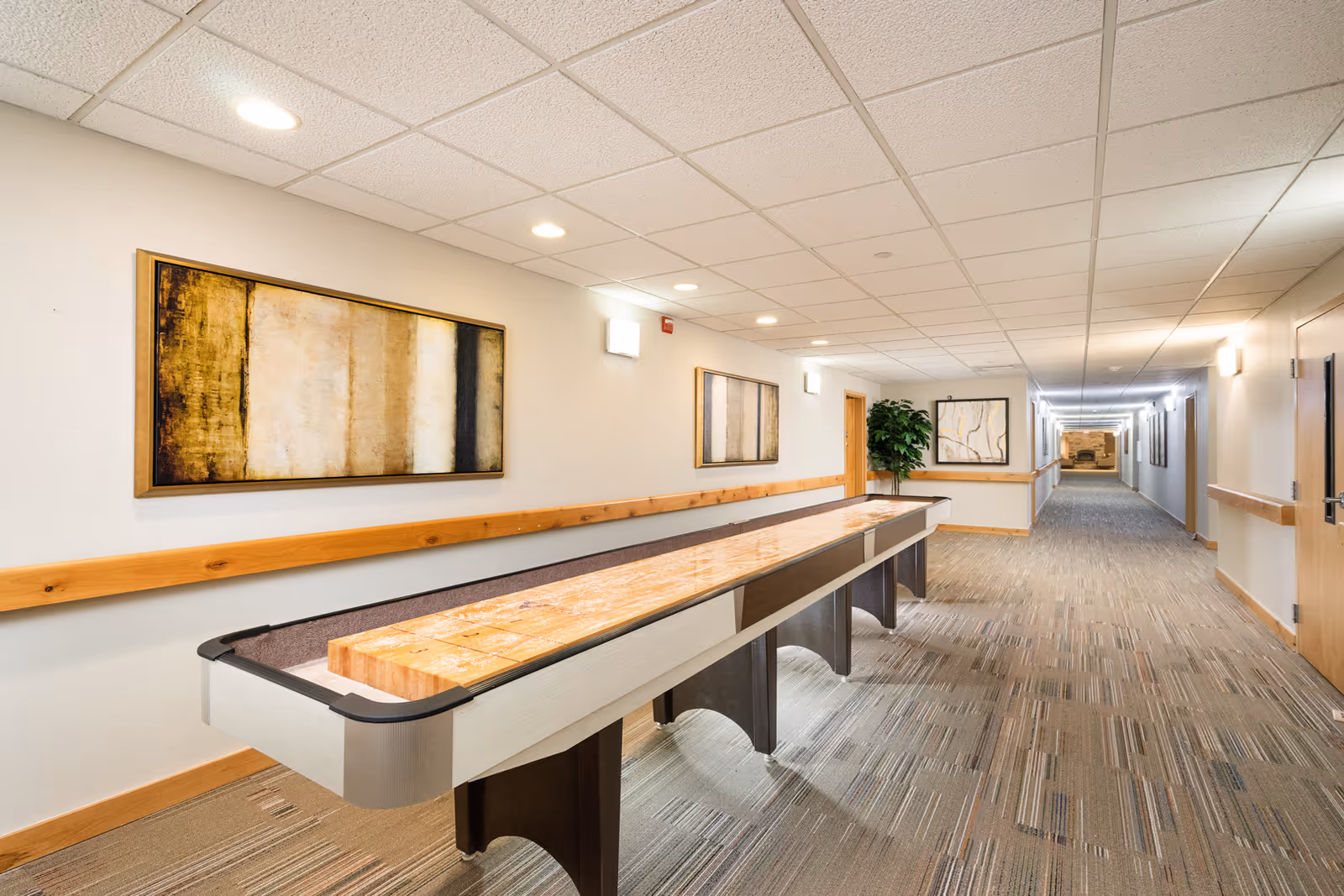 Long carpeted interior hallway with a shuffleboard table, wall art, wood handrails and a plant near the far end.