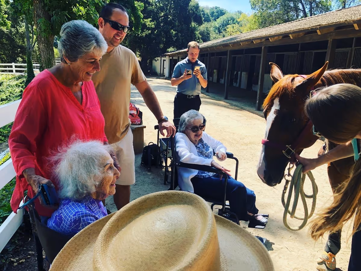 A group of elderly people and caregivers outdoors at a stable. Two elderly women in wheelchairs are interacting with a brown horse held by a person. Another elderly woman and a man stand nearby, smiling. A man in the background is taking a photo with his phone. Trees and stable buildings are visible in the background.