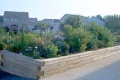 Raised wooden planter bed filled with shrubs and flowering plants beside a sidewalk with multi-unit residential buildings in the background.