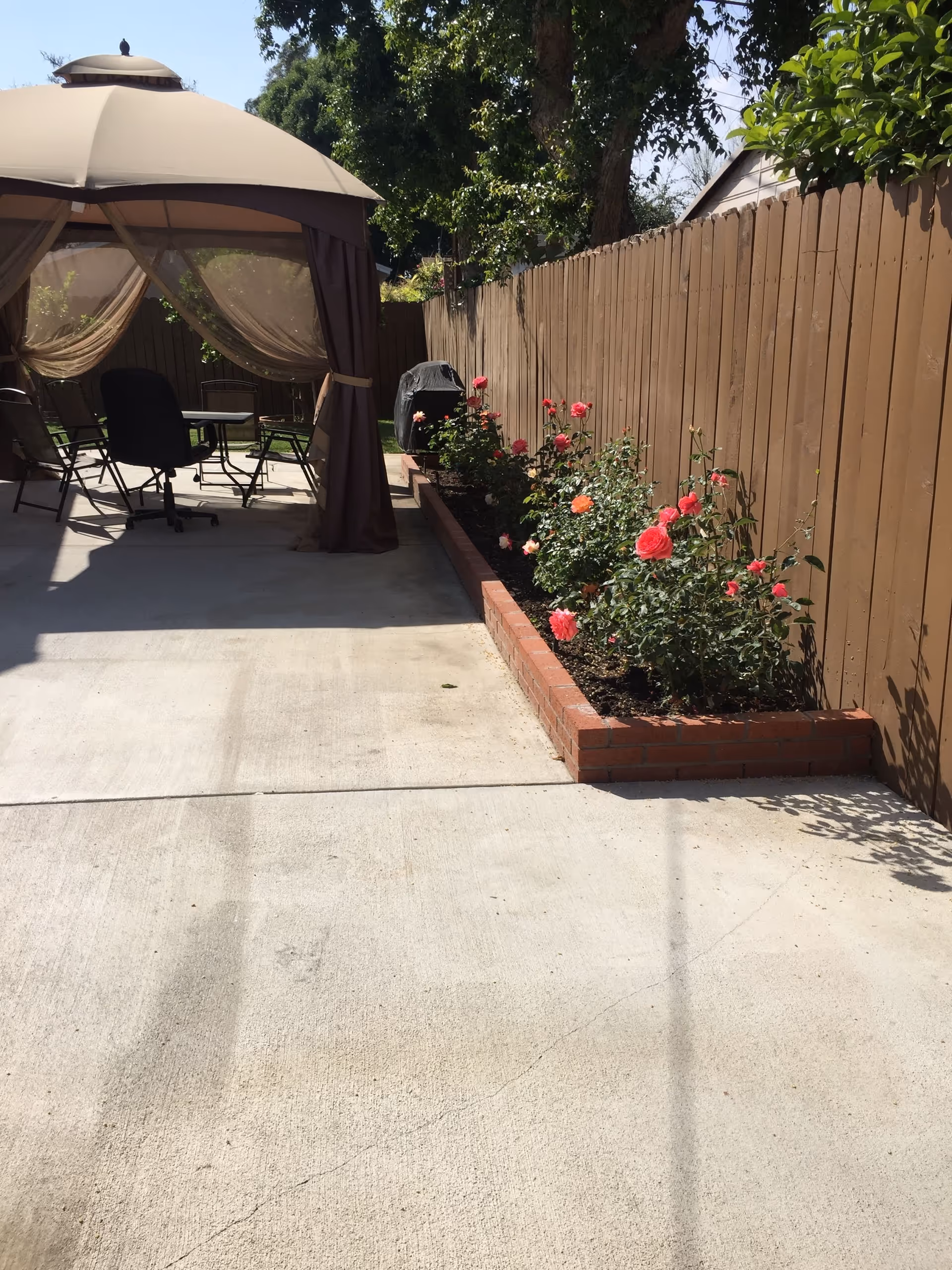 Outdoor patio area with a beige canopy tent covering several chairs and a table. There is a brown wooden fence on the right side with a raised brick flower bed containing blooming pink and orange roses. Trees and greenery are visible in the background.