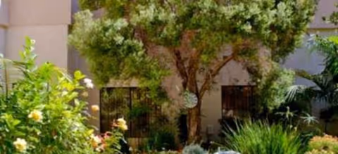 Exterior view of a building with lush landscaping and trees in front.