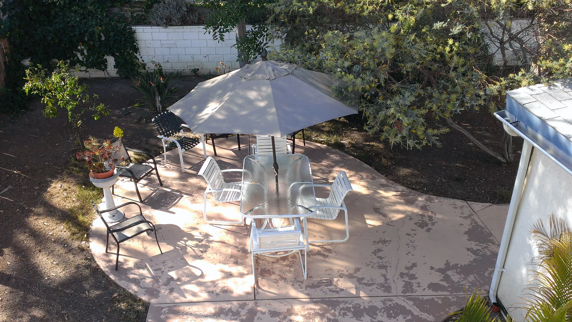 Outdoor patio with a glass table, umbrella and several chairs on a concrete pad surrounded by trees and shrubs.