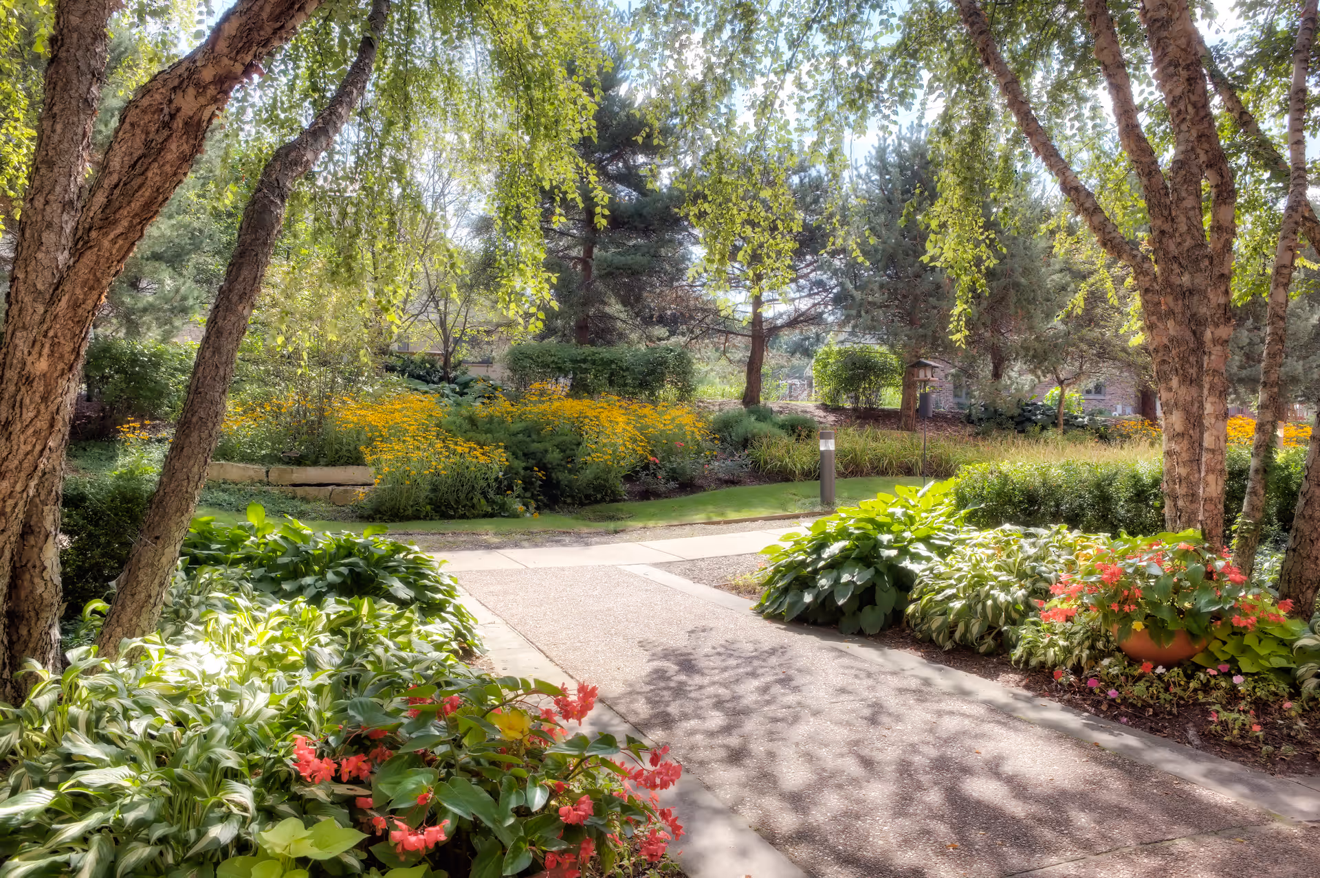 A sunlit garden path surrounded by lush greenery, colorful flowers, and tall trees with hanging branches, creating a serene outdoor space.