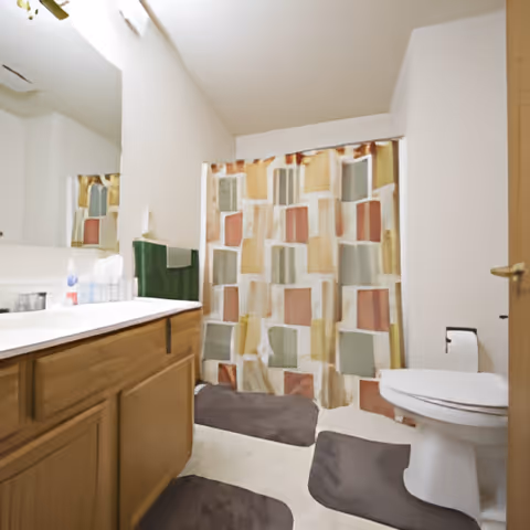 A bathroom with a wooden vanity cabinet and white countertop on the left, a large mirror above the sink, a toilet on the right with a toilet paper holder, and a shower with a colorful geometric patterned curtain in the background. There are dark gray bath mats on the floor.