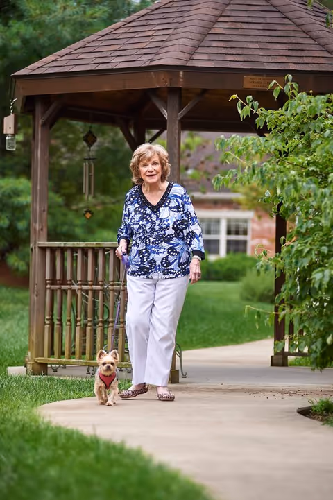 An elderly woman wearing a blue and white patterned blouse and white pants is walking a small dog on a leash along a paved path. They are passing by a wooden gazebo surrounded by green grass and trees.