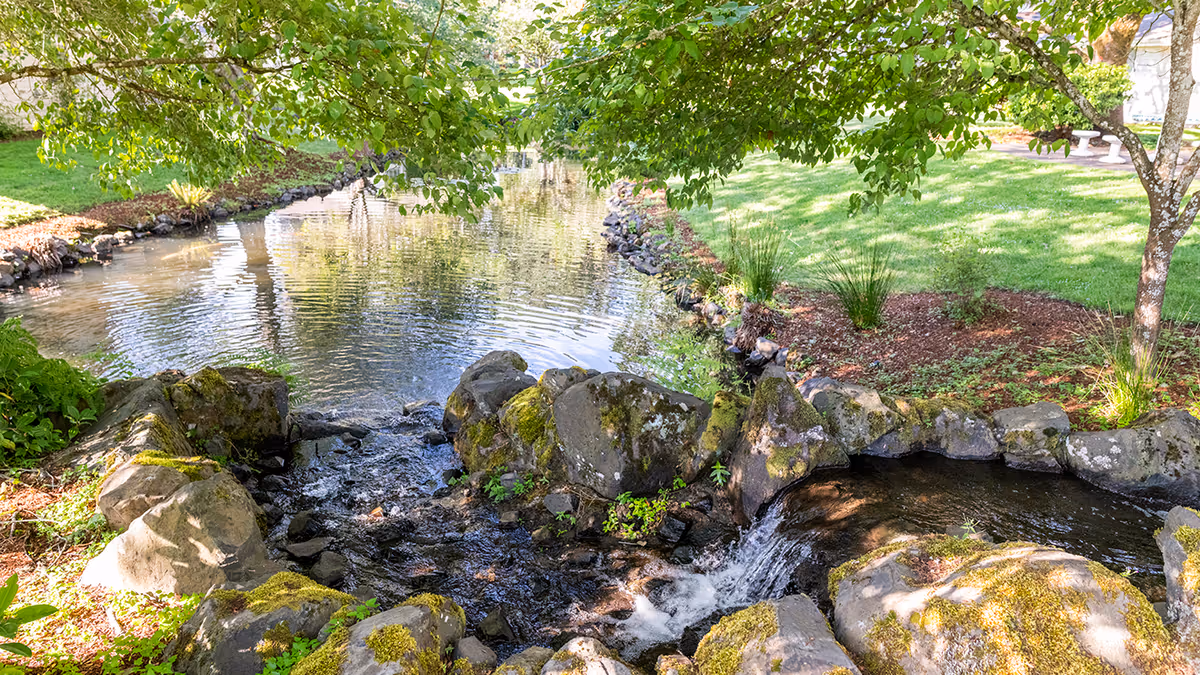 A serene outdoor scene at Holiday Hidden Lakes featuring a small stream flowing over moss-covered rocks into a calm pond surrounded by green grass, trees, and landscaped garden beds.