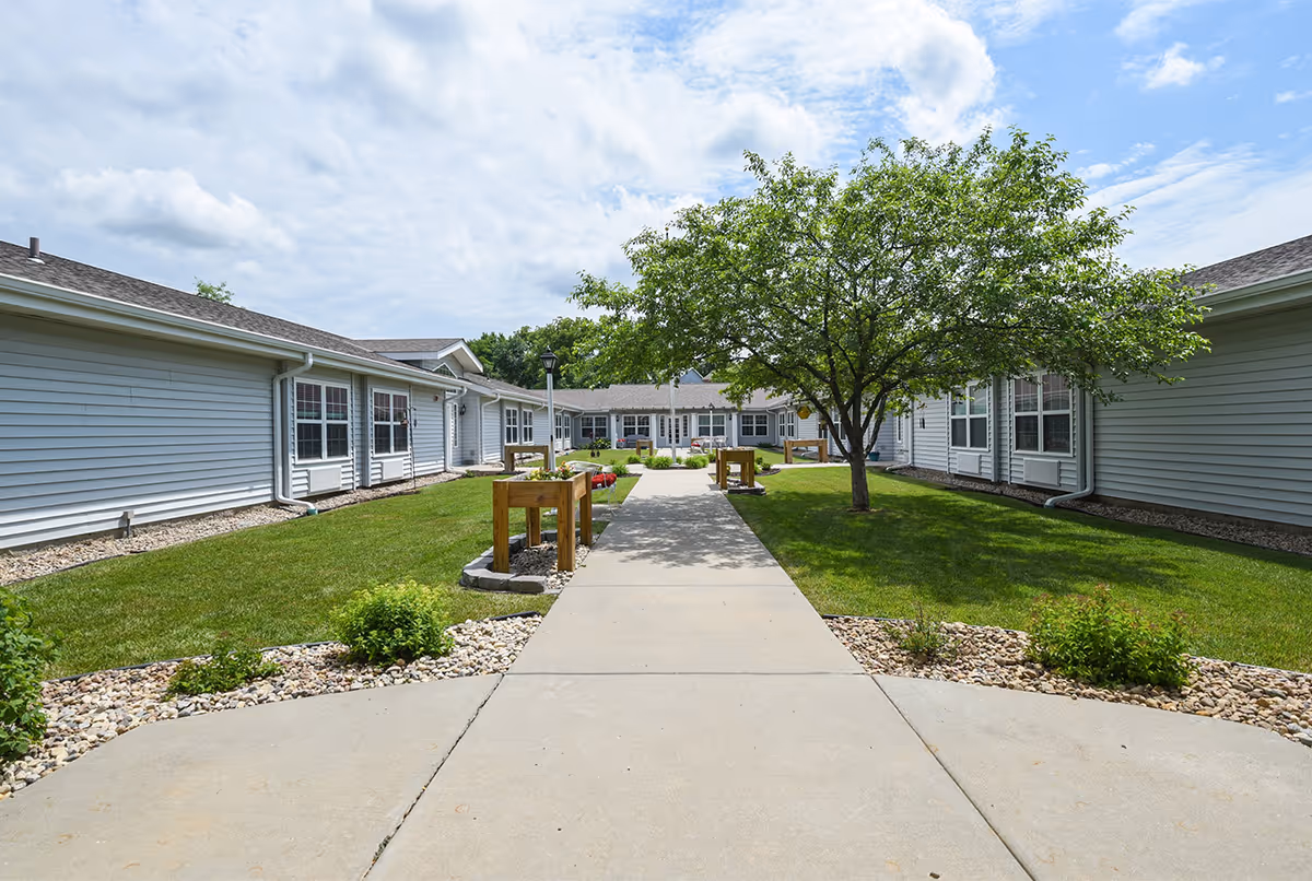 A sunny outdoor courtyard area at Amelia Senior Living featuring a concrete walkway flanked by green grass, small bushes, and a tree in the center. The courtyard is surrounded by single-story buildings with white siding and multiple windows.