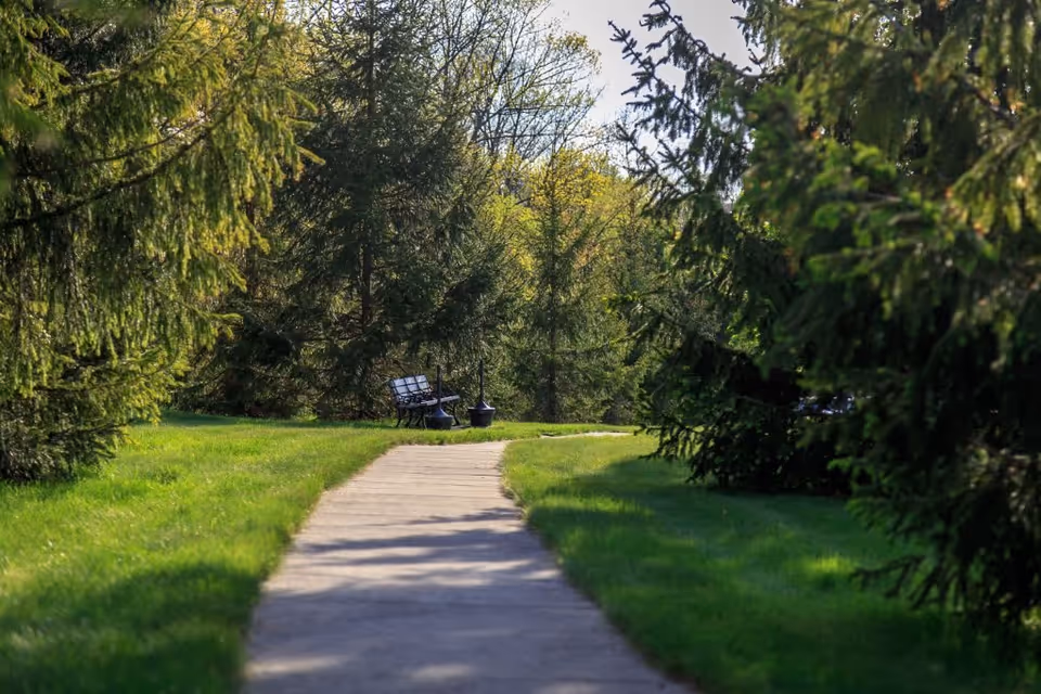 A paved walking path surrounded by green grass and tall evergreen trees on both sides, with a bench and a lamp post visible in the distance under a sunny sky.