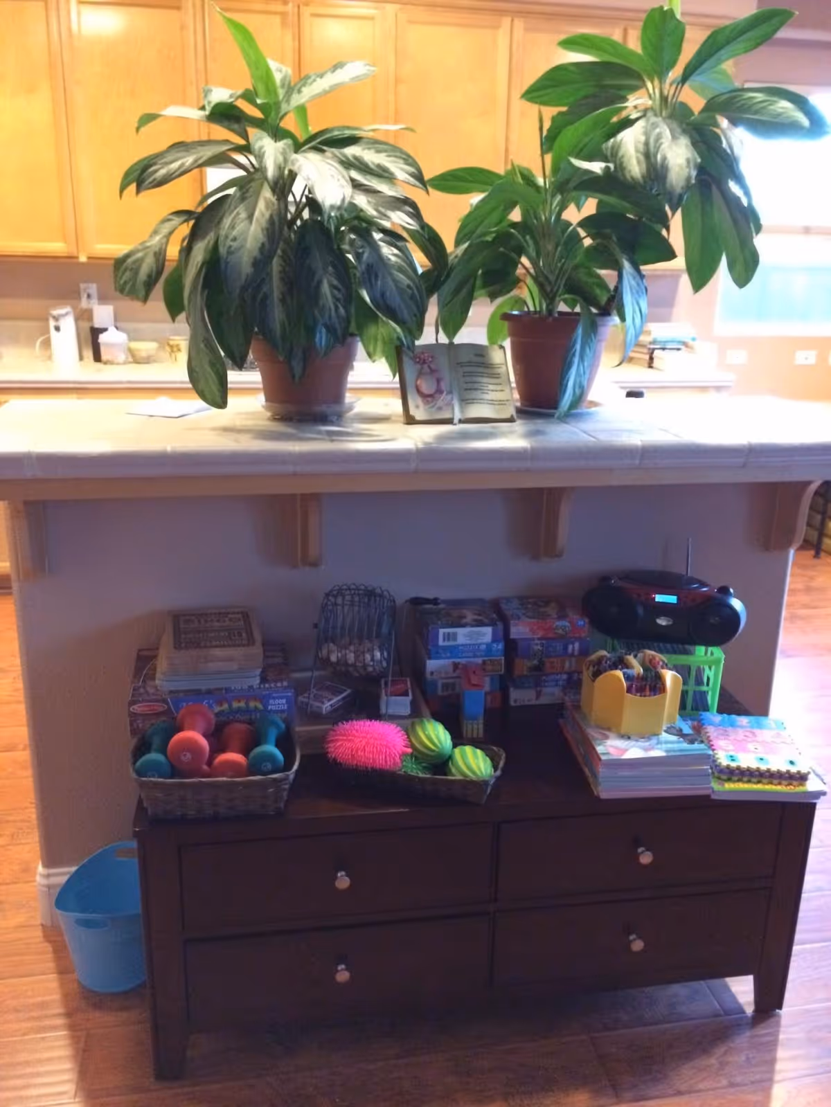 Indoor area with a kitchen counter and wooden cabinet below. On the counter are two potted green plants and an open book. Below the counter on the cabinet are various items including colorful dumbbells, puzzles, games, a radio, and some craft supplies. The floor is wooden and there is a blue bucket on the left side.