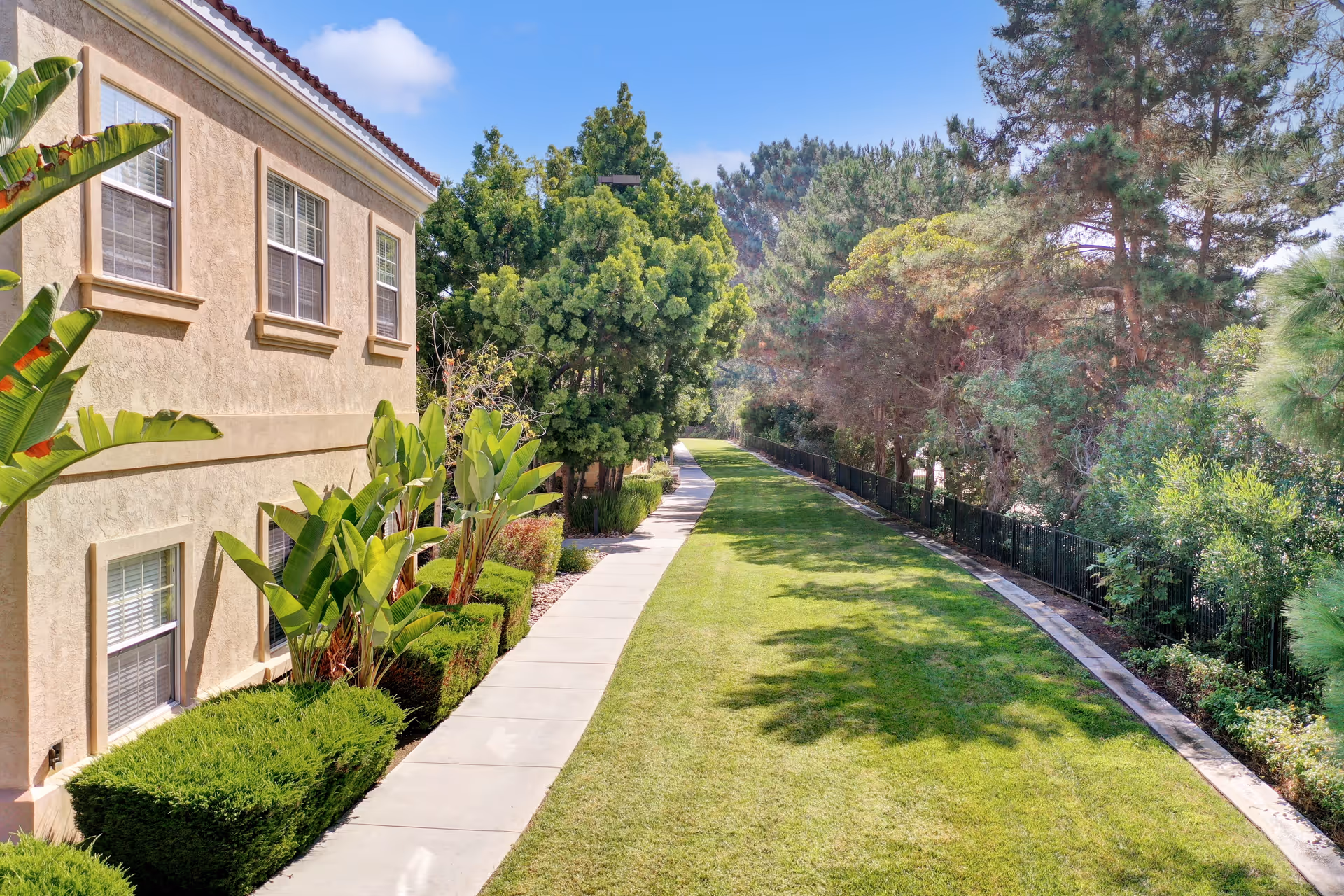 A sunny outdoor pathway next to a beige building with multiple windows. The path is bordered by well-maintained green bushes and tropical plants on one side, and a grassy area with trees and a black metal fence on the other side.