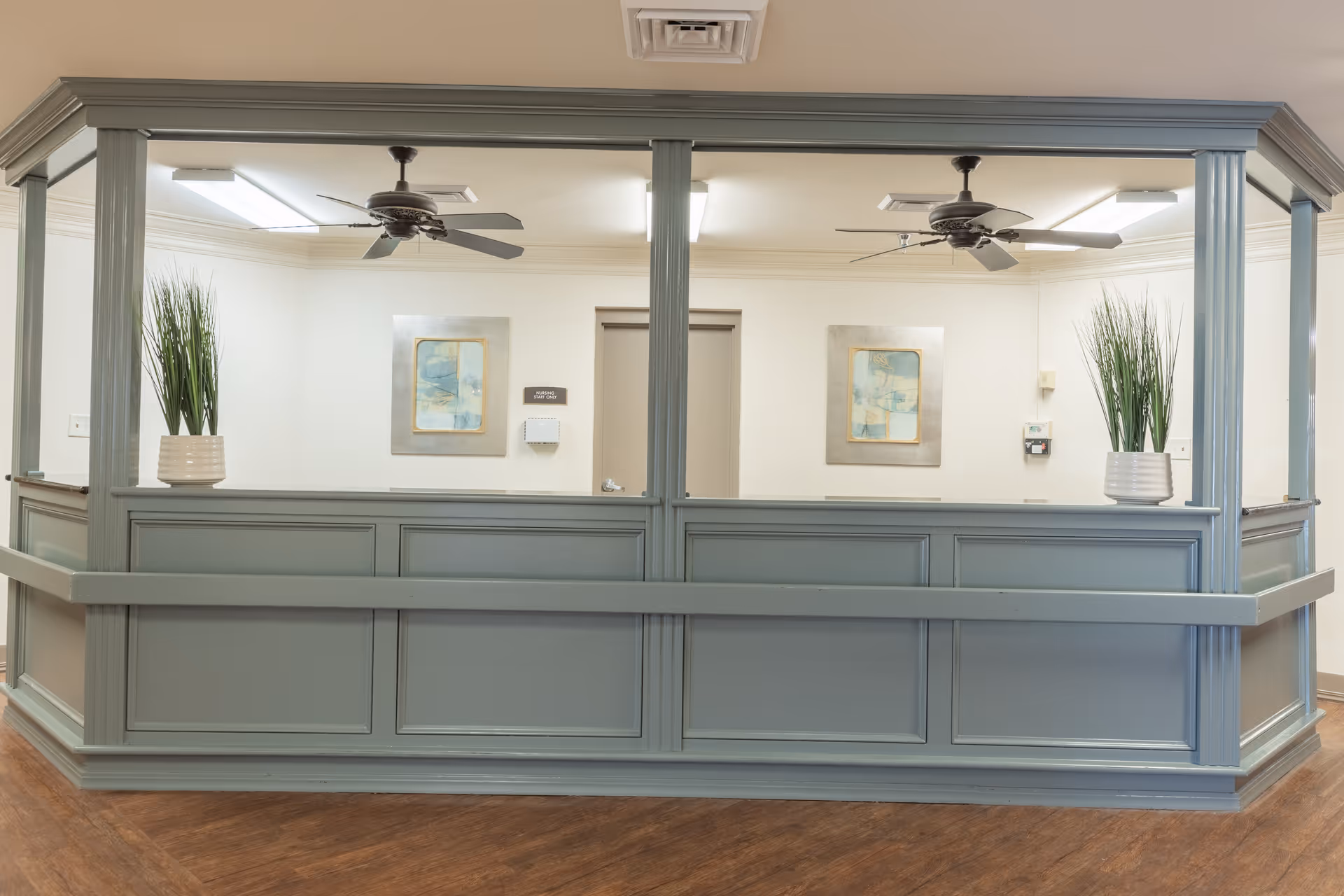 Reception desk area with light blue paneling and two ceiling fans above. Two potted plants with tall green leaves are placed on the desk, and two framed abstract paintings hang on the wall behind. The floor is wood, and the walls are white with a door and a small sign visible in the background.